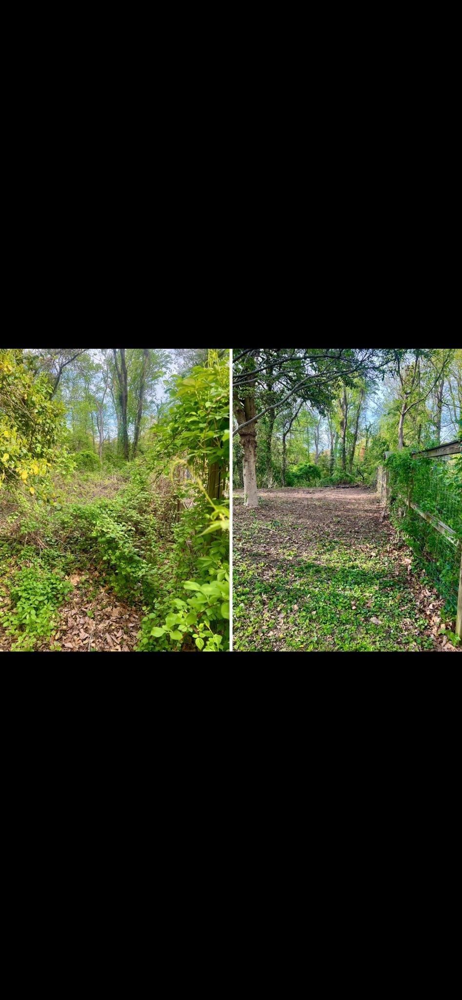  for Arundel Lawn Maintenance in Arnold, MD