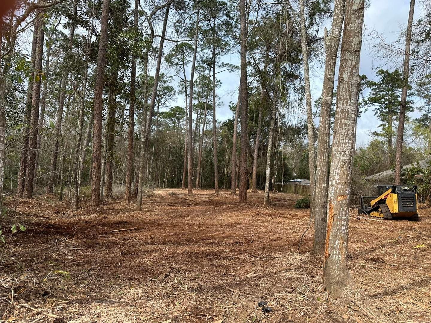  for White’s Land Maintenance in Milton,, FL