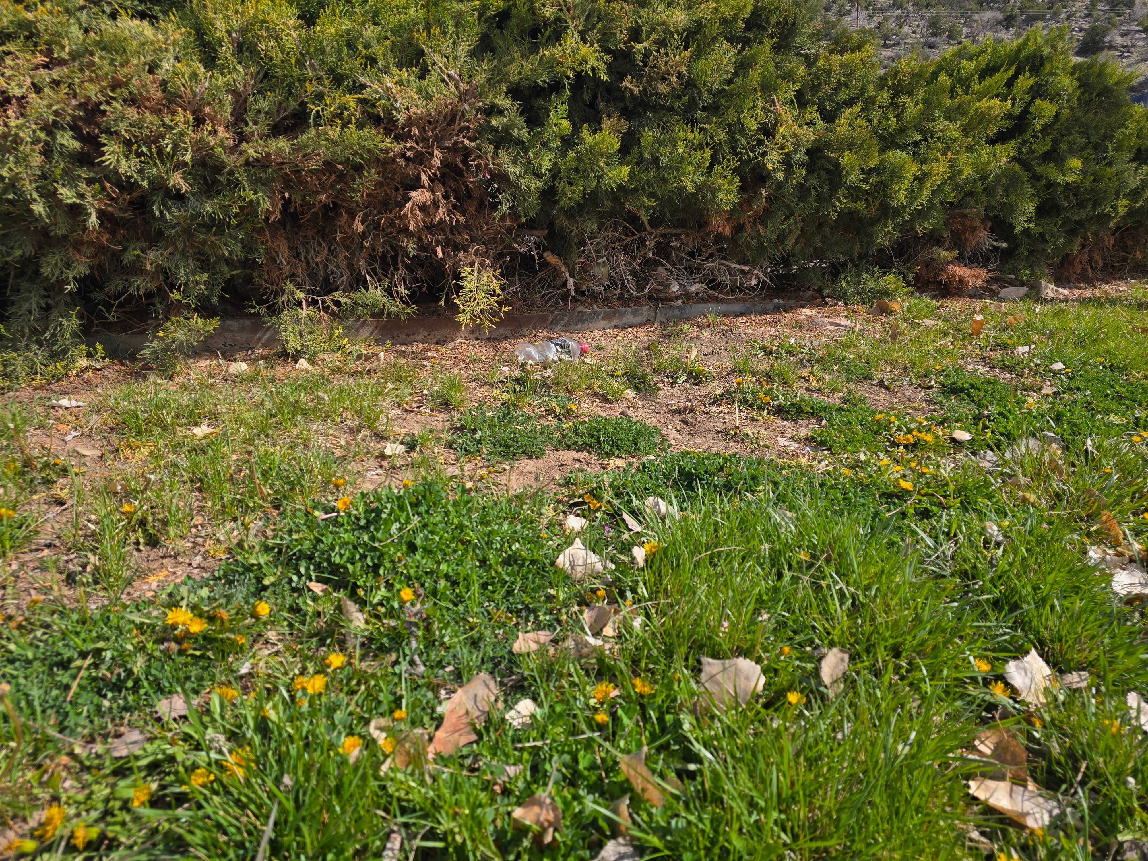All Photos for LRS: Landscape, Rescue, Snow in Silt, CO