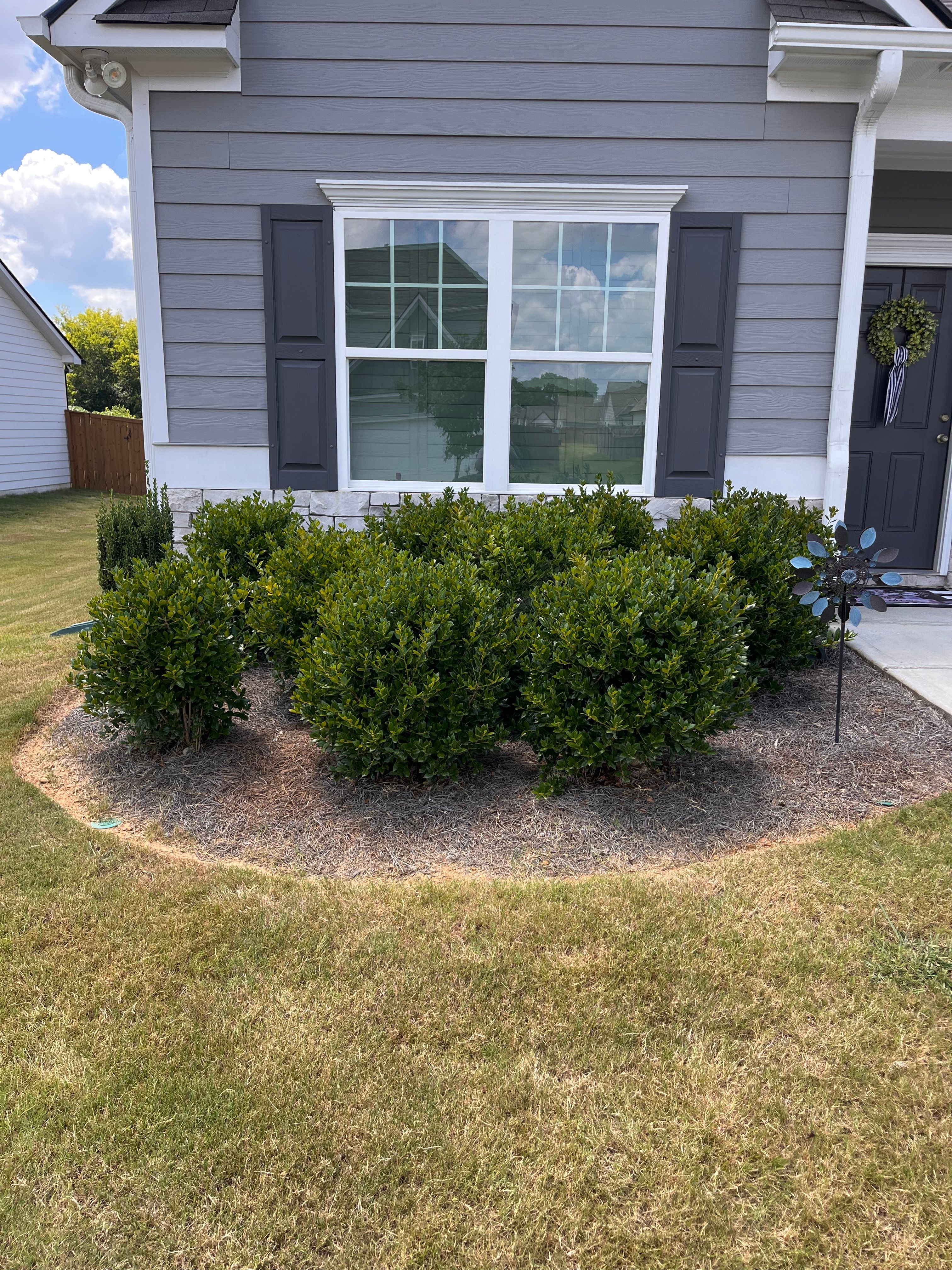  for VL Landscaping, LLC in Cartersville, GA