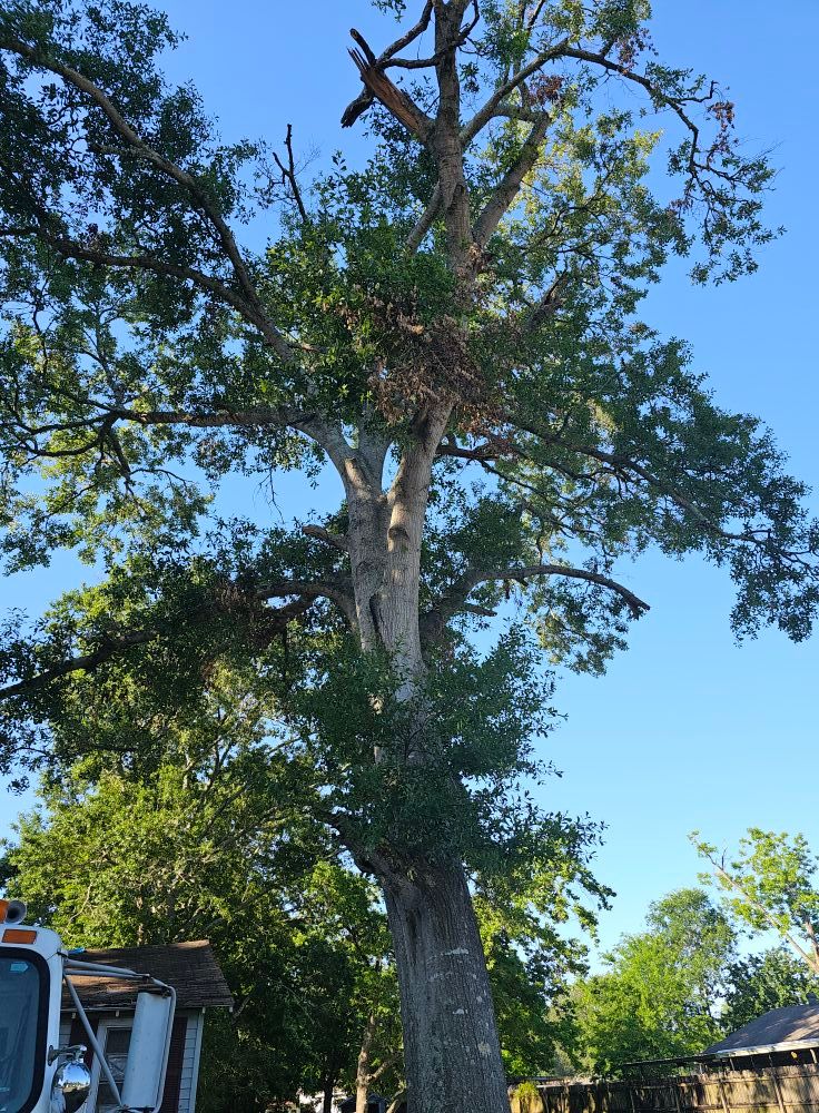  for Breaktime Tree Trimming & Removal in Oakdale, LA