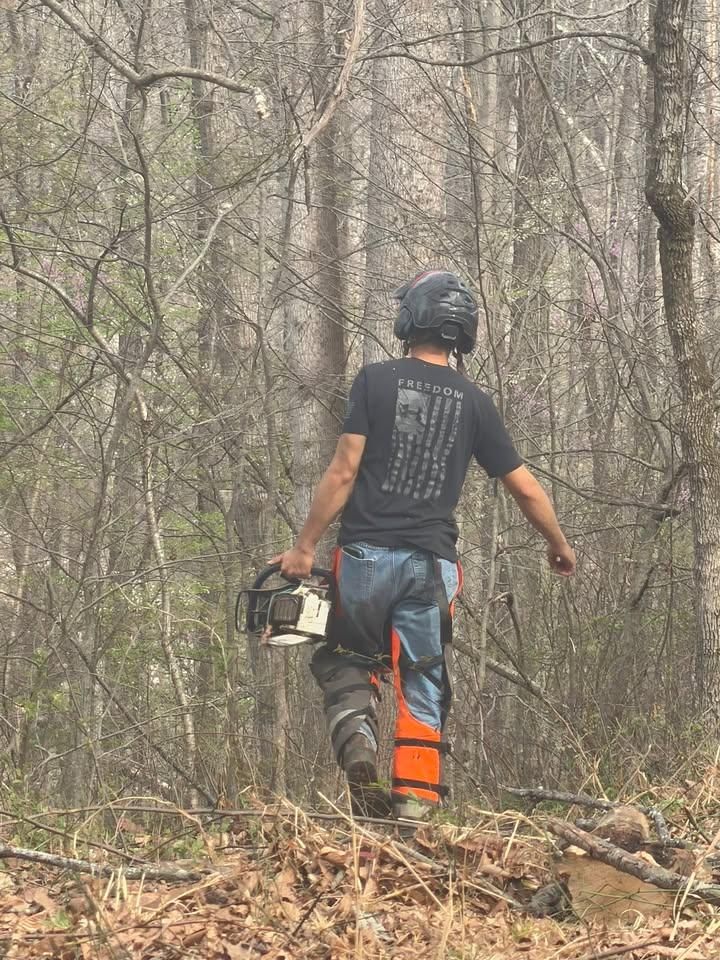  for Ramirez Tree Care in Elkin, NC