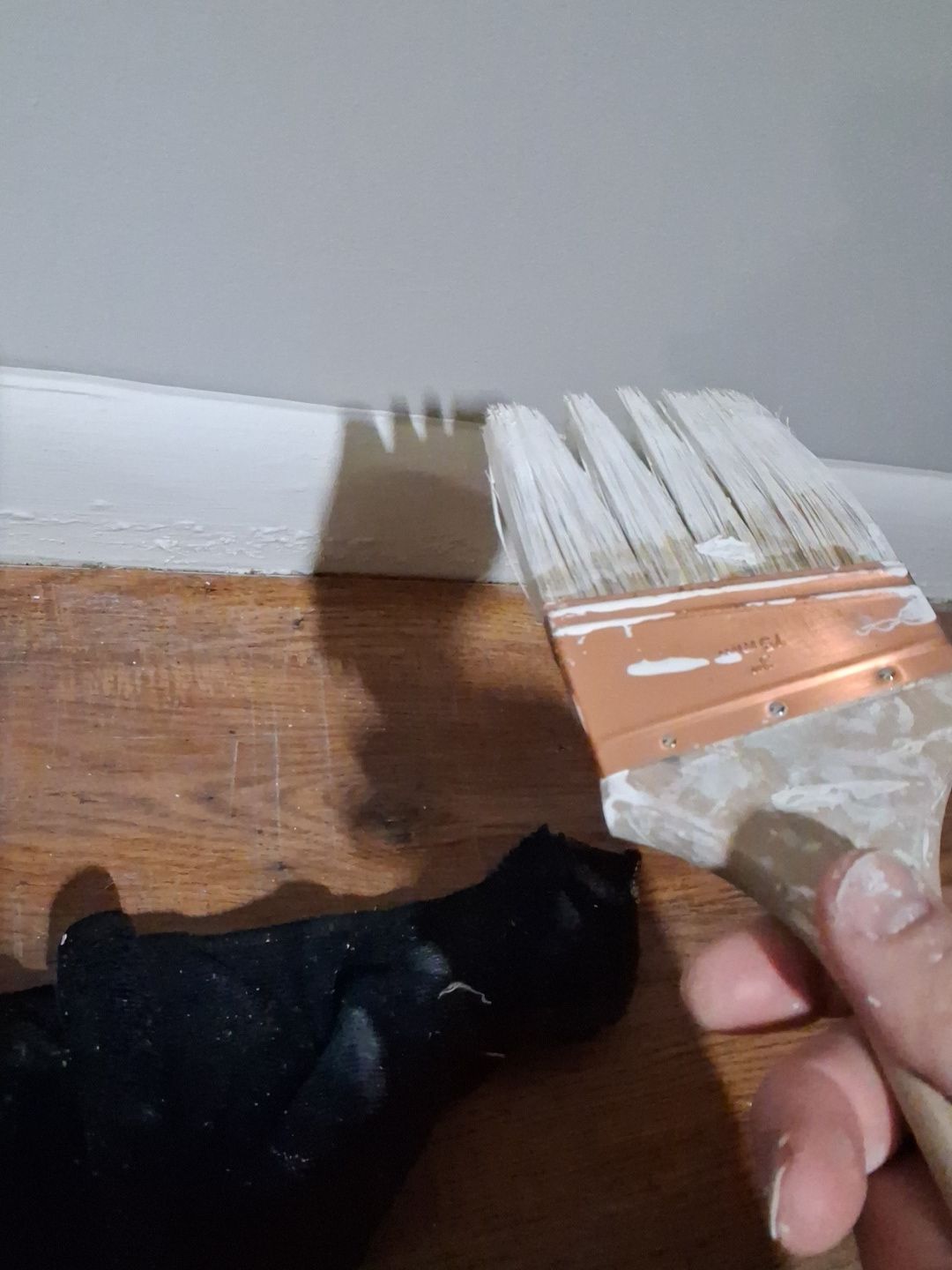  for Raw Paintings, Sheetrock Repairs and Cleaning in Columbia, SC