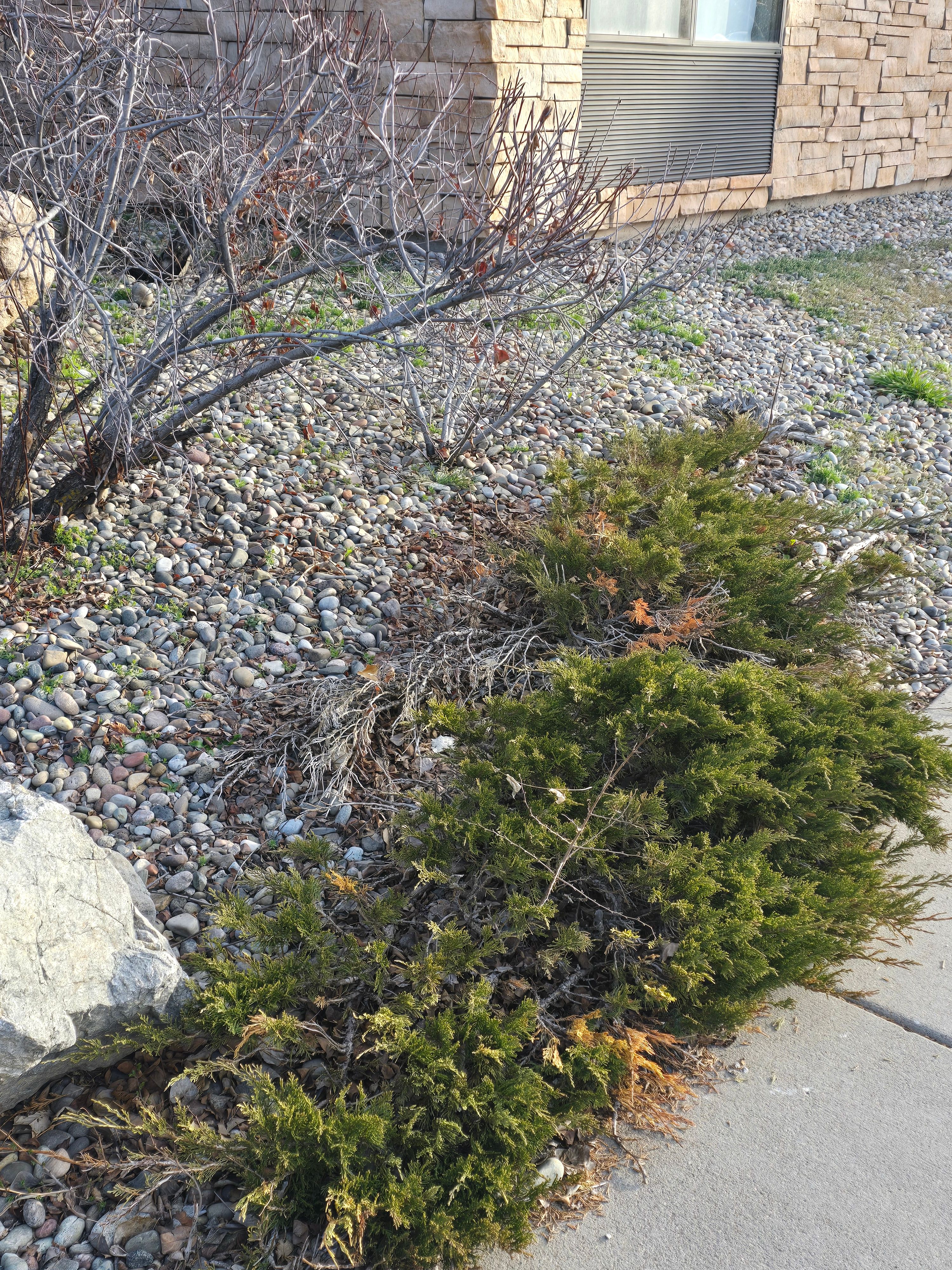All Photos for LRS: Landscape, Rescue, Snow in Silt, CO