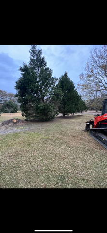  for Thompson Forestry Mulching & Stump Grinding in Douglas, GA