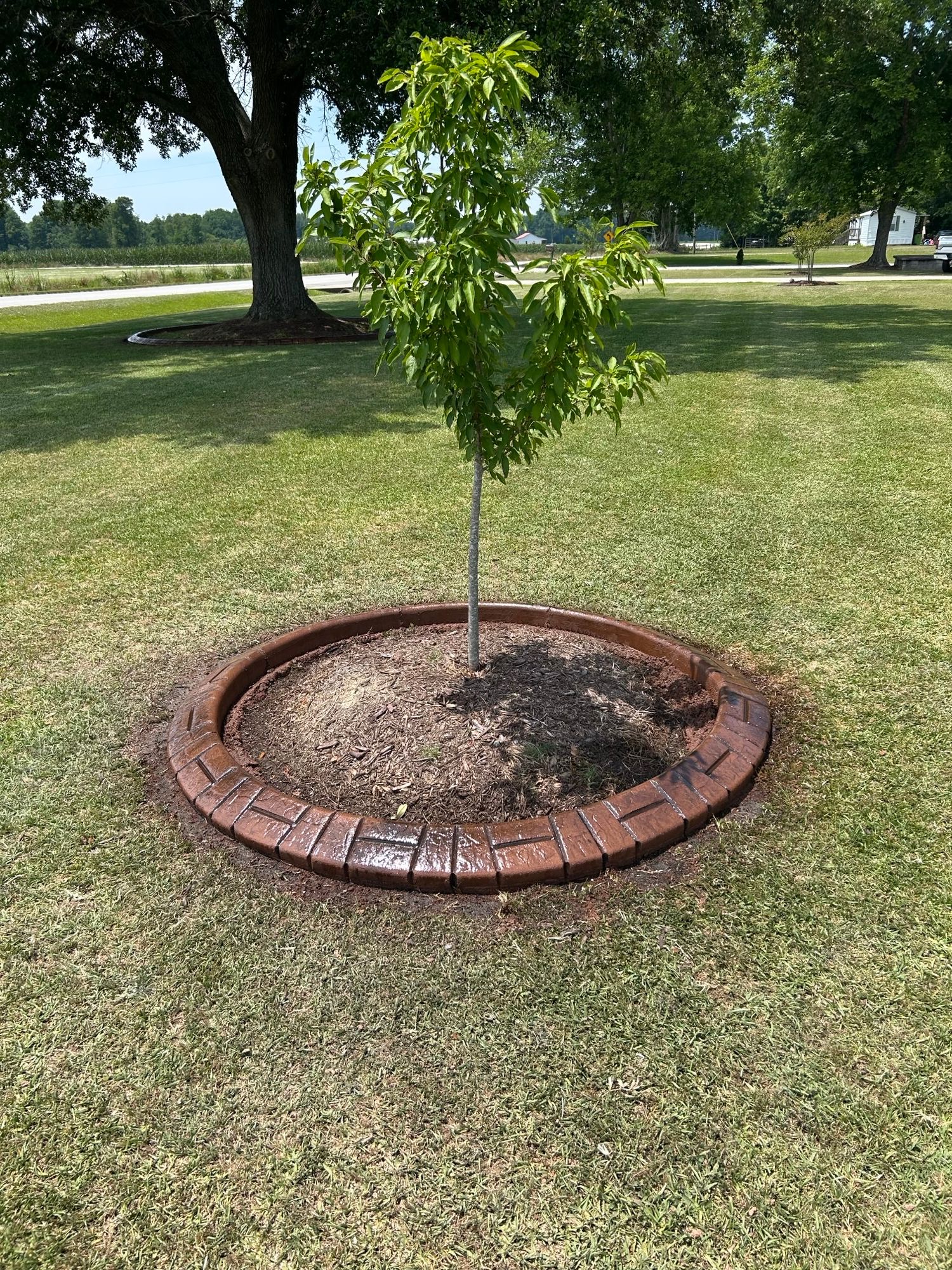  for Professional Edge in Deep Run, NC