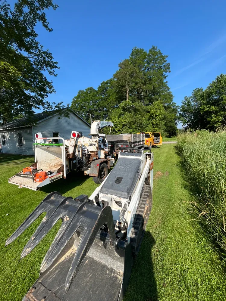 Tree Removal for Licensed to Cut Tree Service in Athens, PA