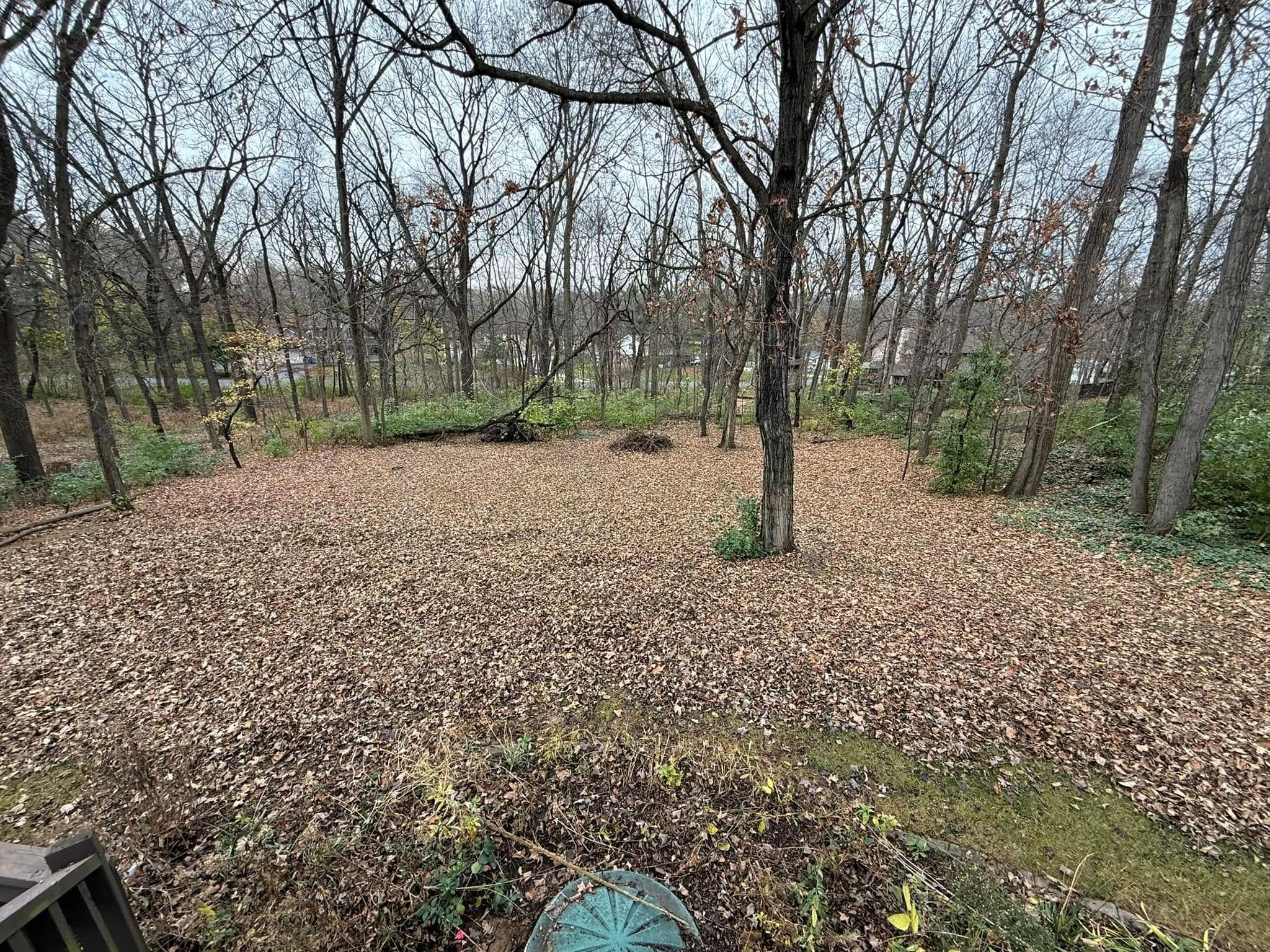  for B&G Lawn Care in Roscoe, IL