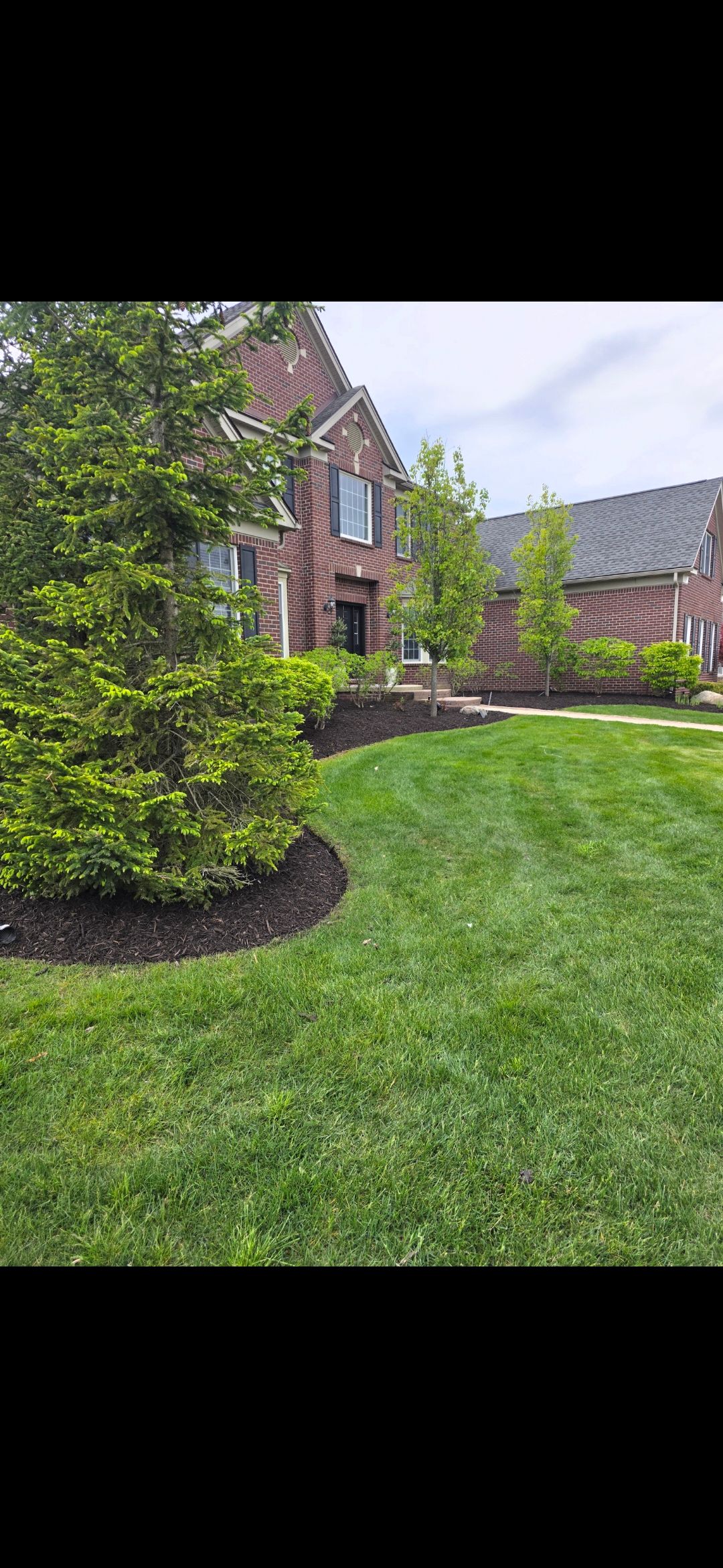  for Ivy Lawn and Landscaping in Oxford, MI
