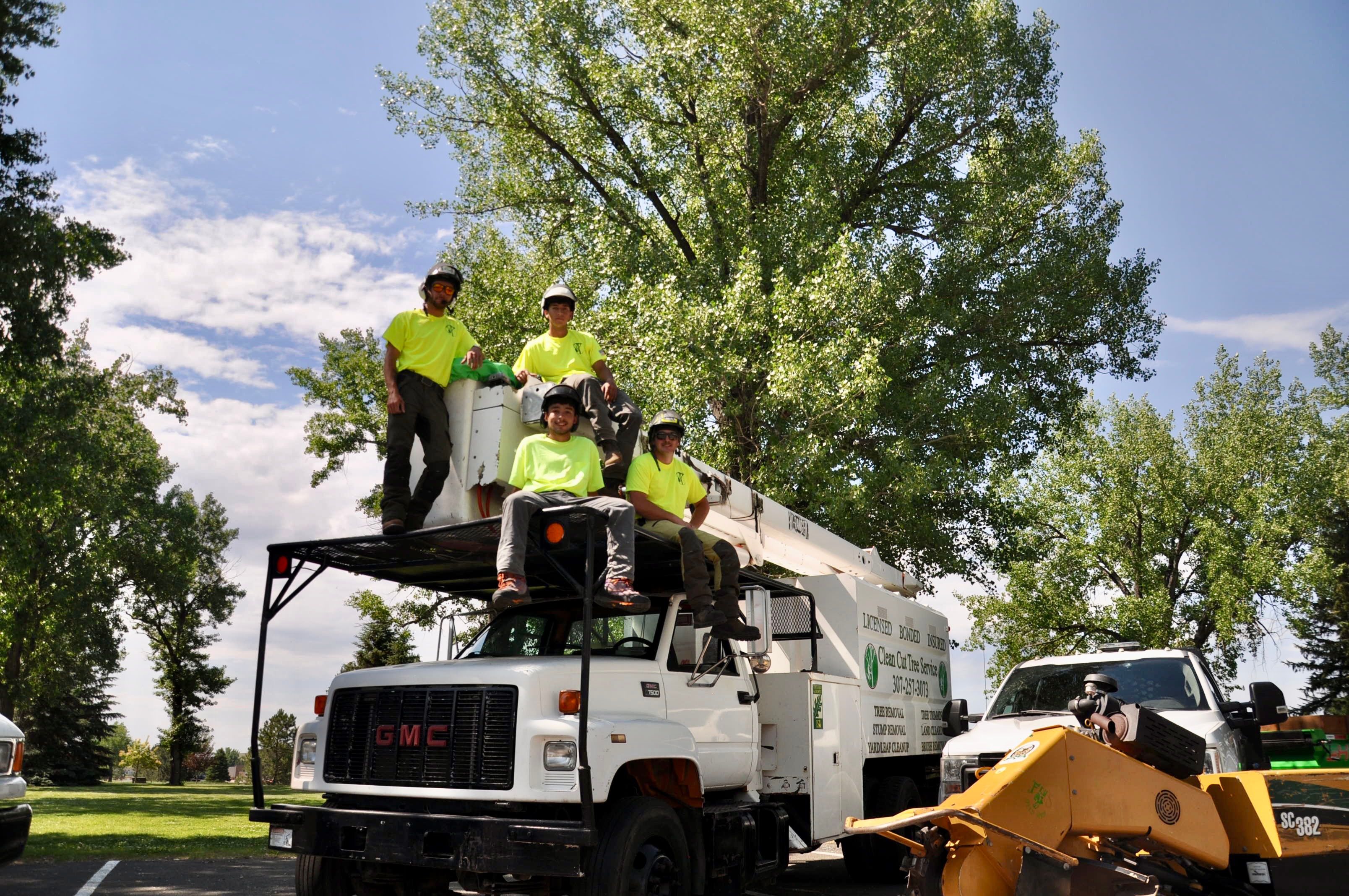  for Clean Cut Tree Service in Gillette, WY