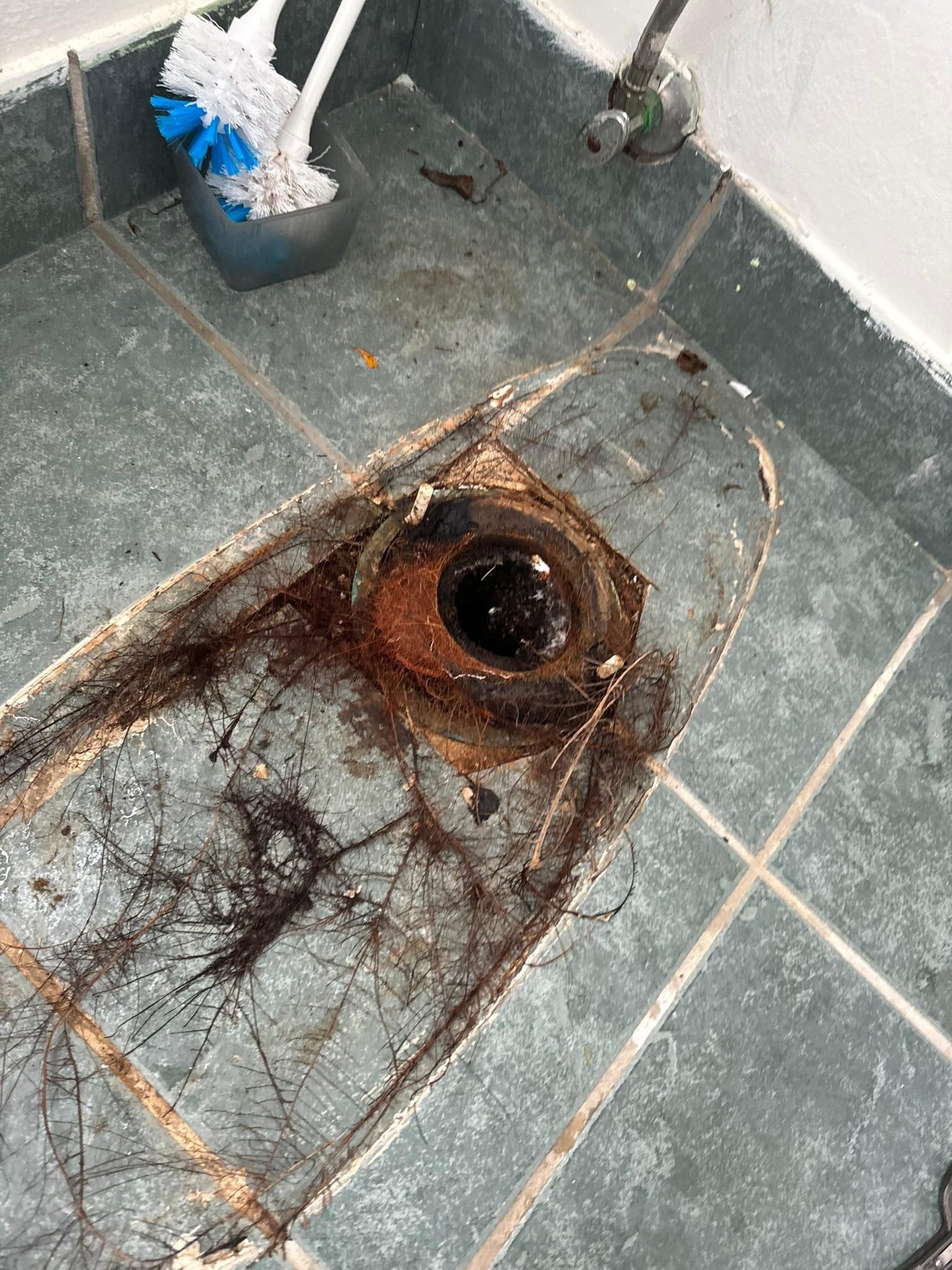  for Mike's Drain Cleaning in Jupiter, FL