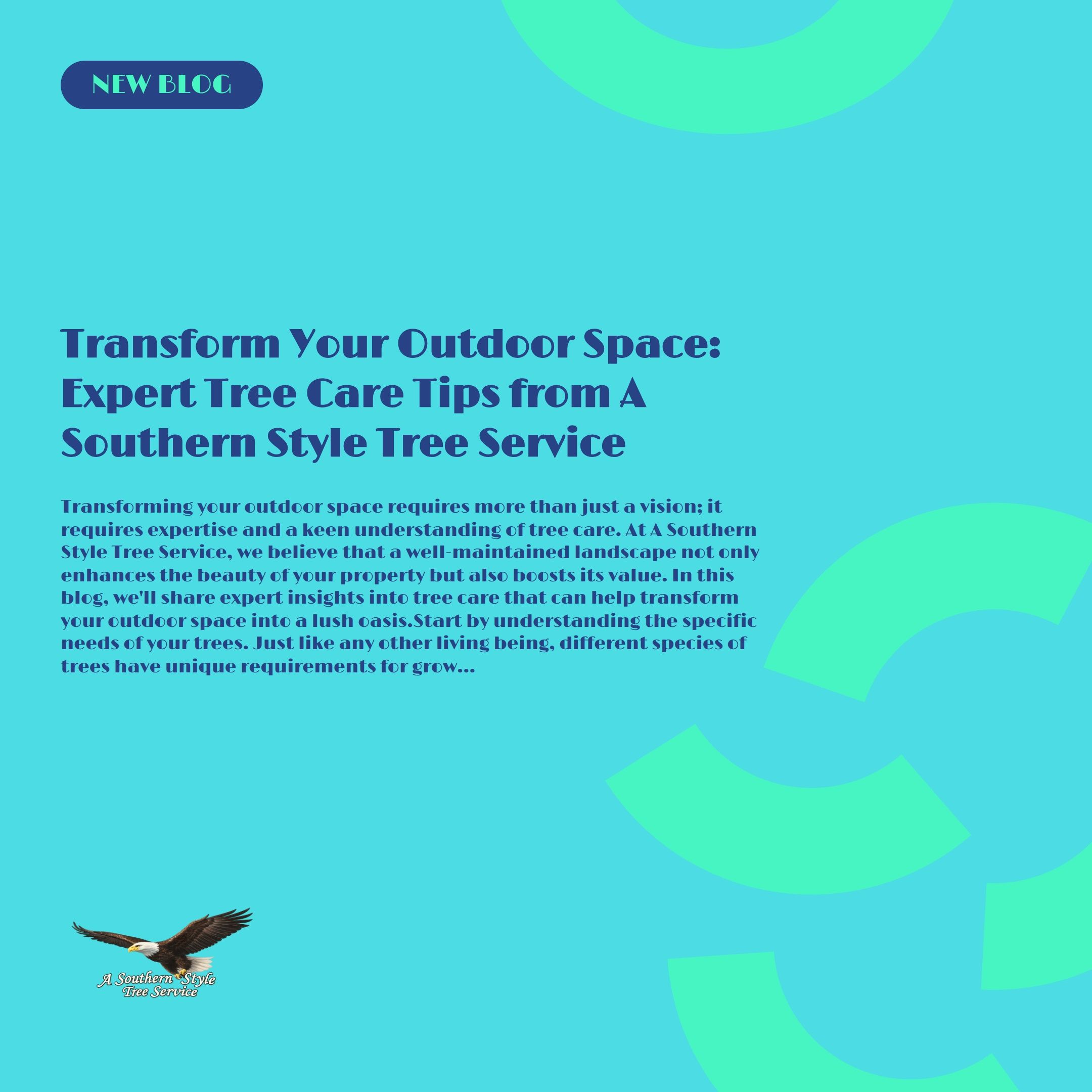  for A Southern Style Tree Service in Orlando, FL