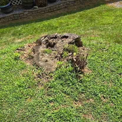  for Lopez Landscaping and Tree Service  in Waynesville, NC