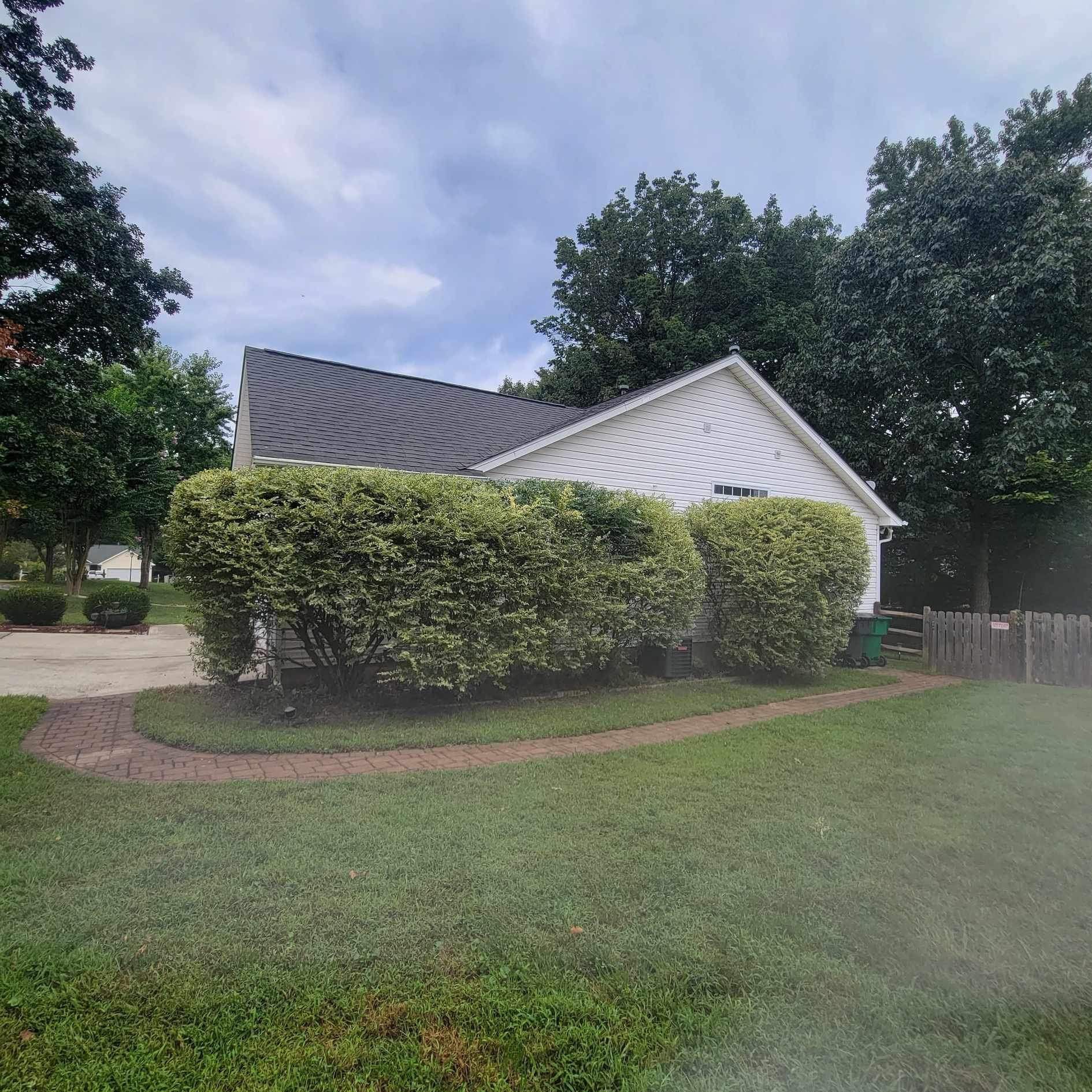  for Stem Tree Service in Belmont, NC