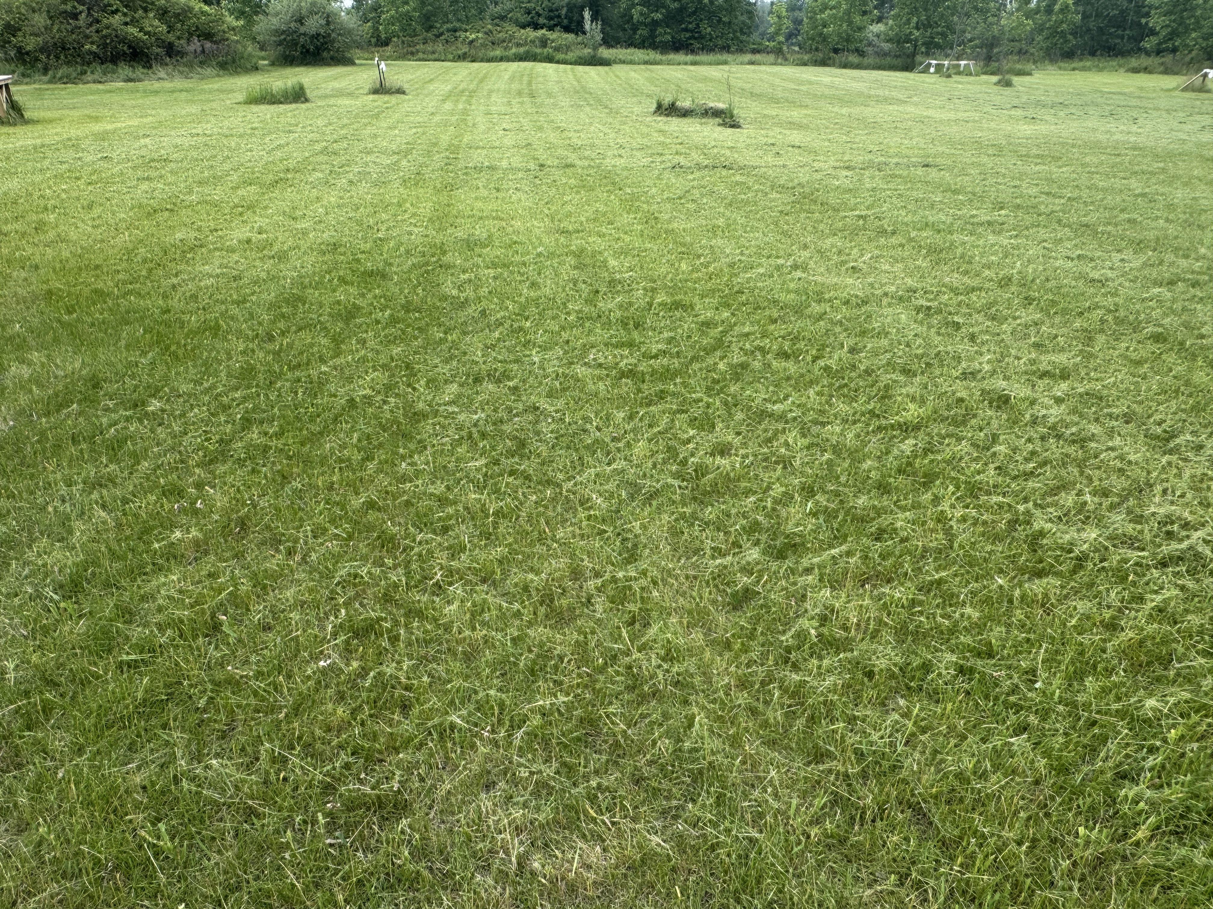  for Daugherty's Tough Lawn Care in Essexville, MI