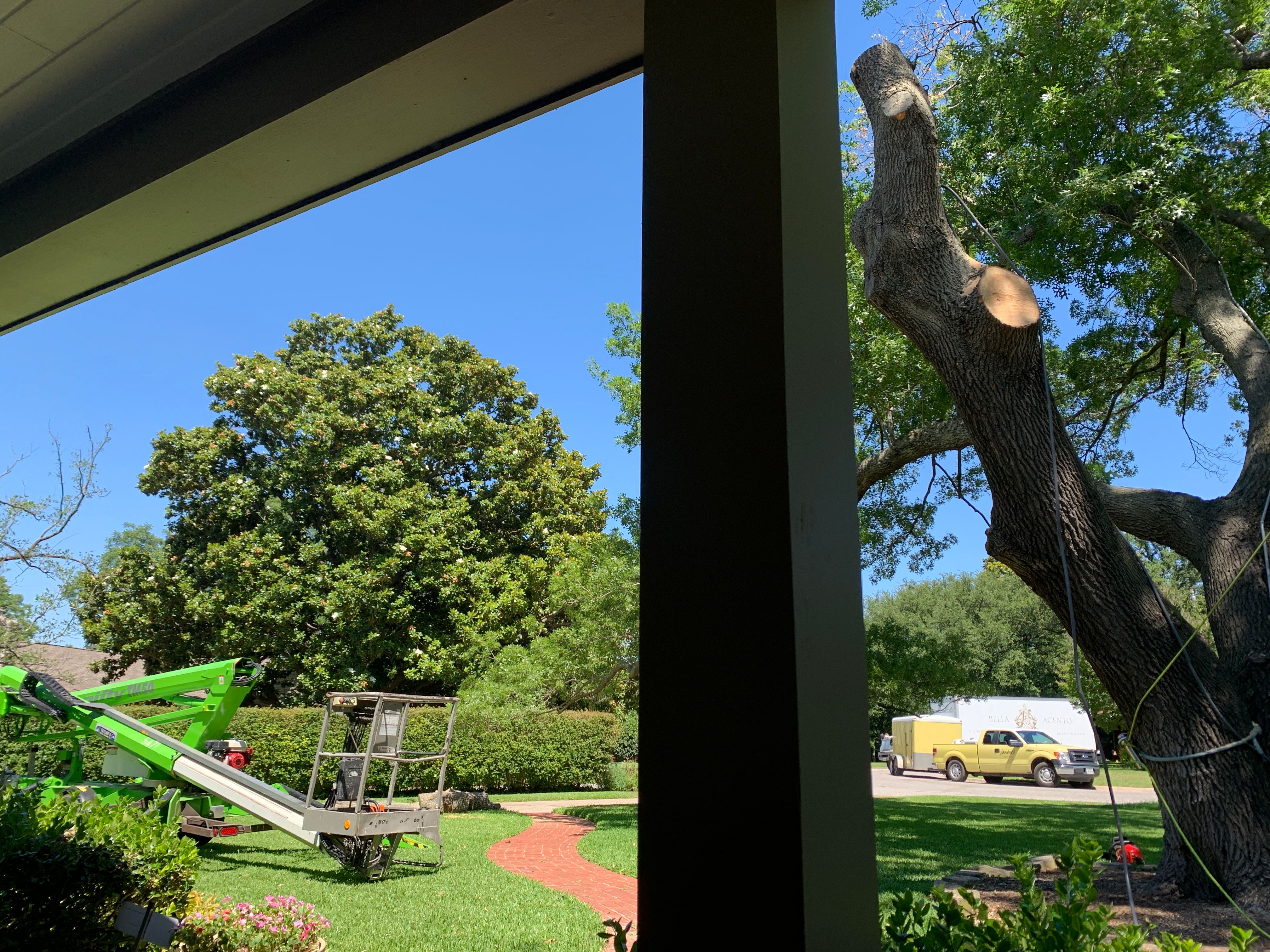  for TLC Professional Tree Service in Bedford, TX