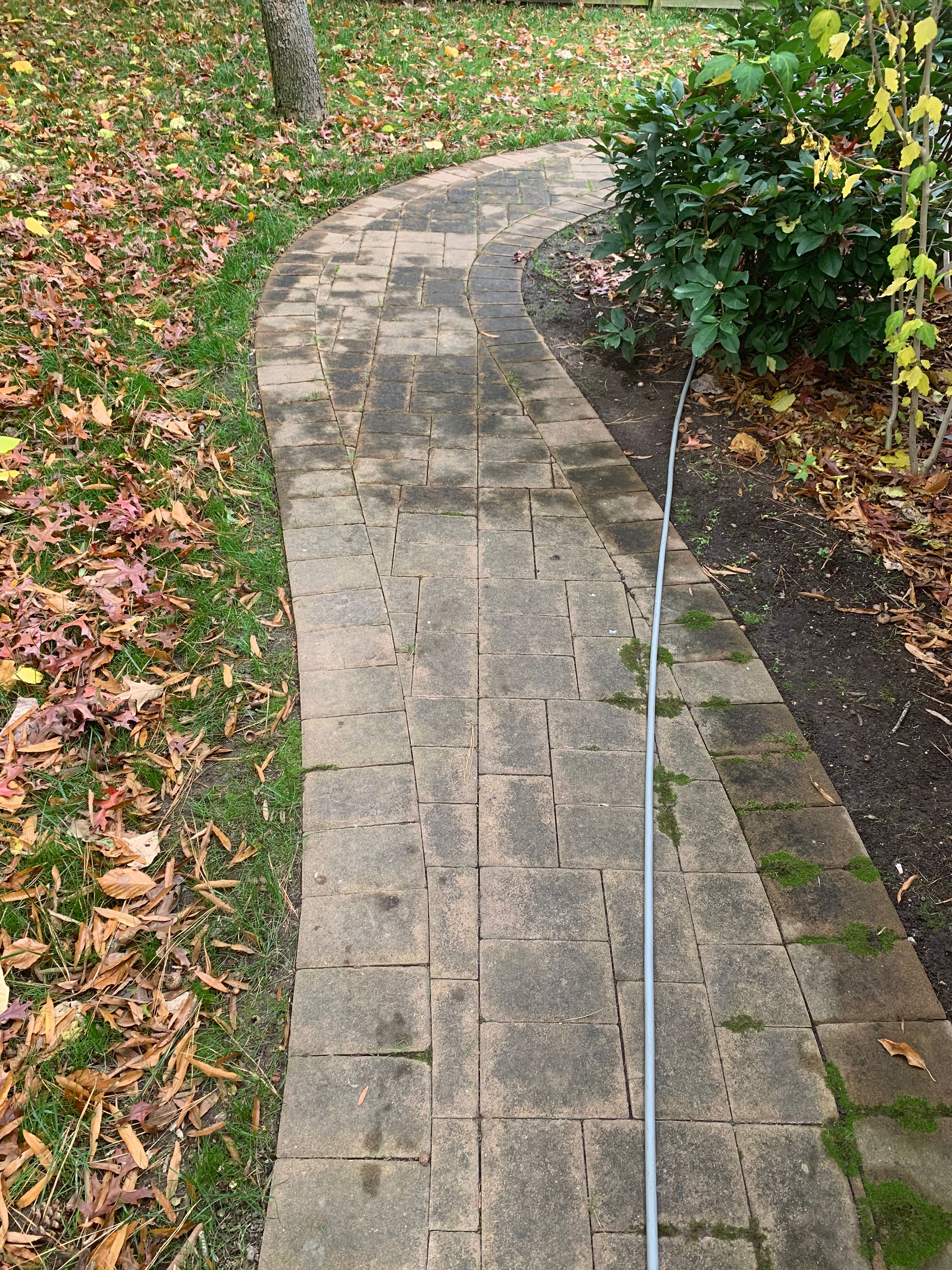  for Atlas Home Services in Mechanicsville, VA