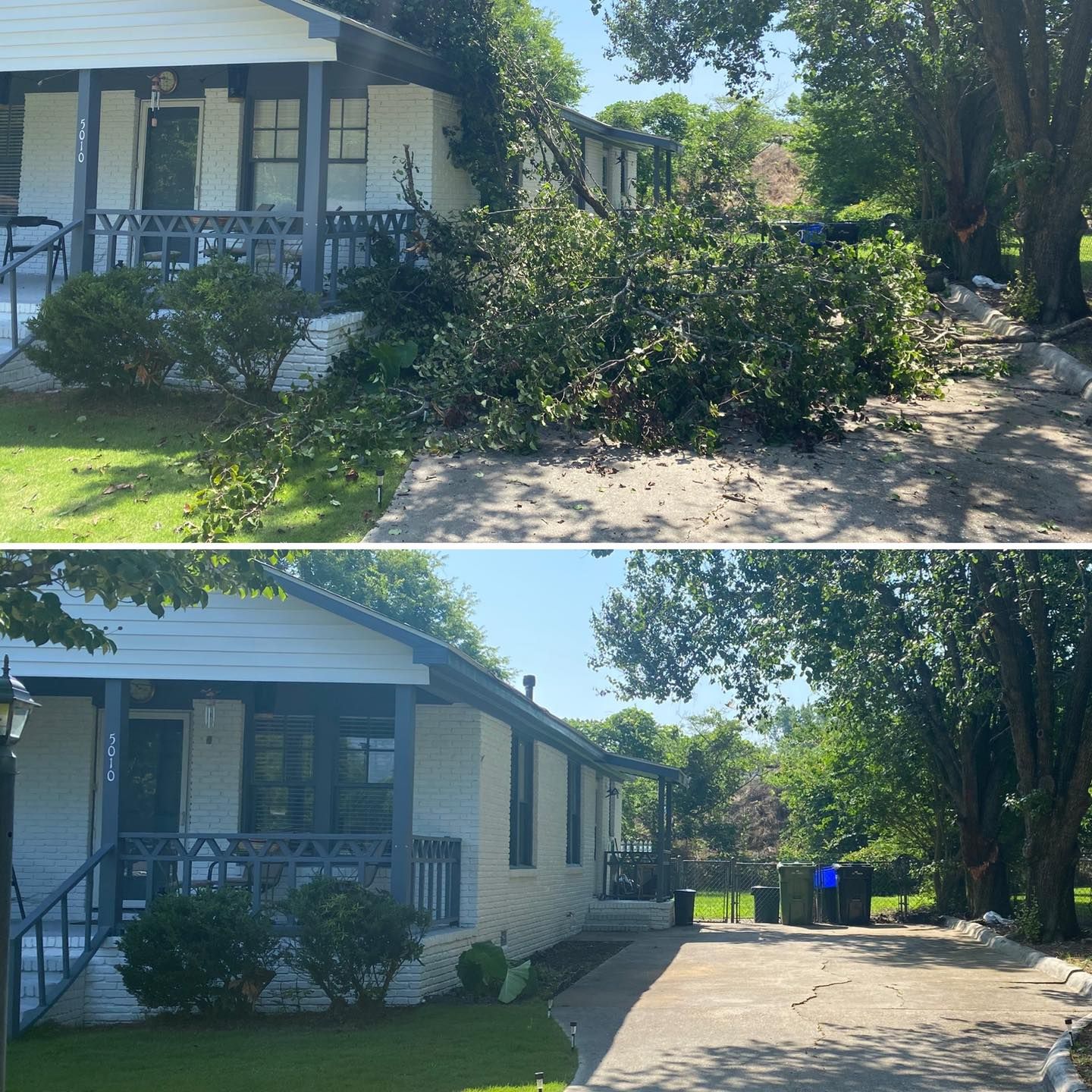 Tree Removal for Pinedown LLC in Cherokee County, GA