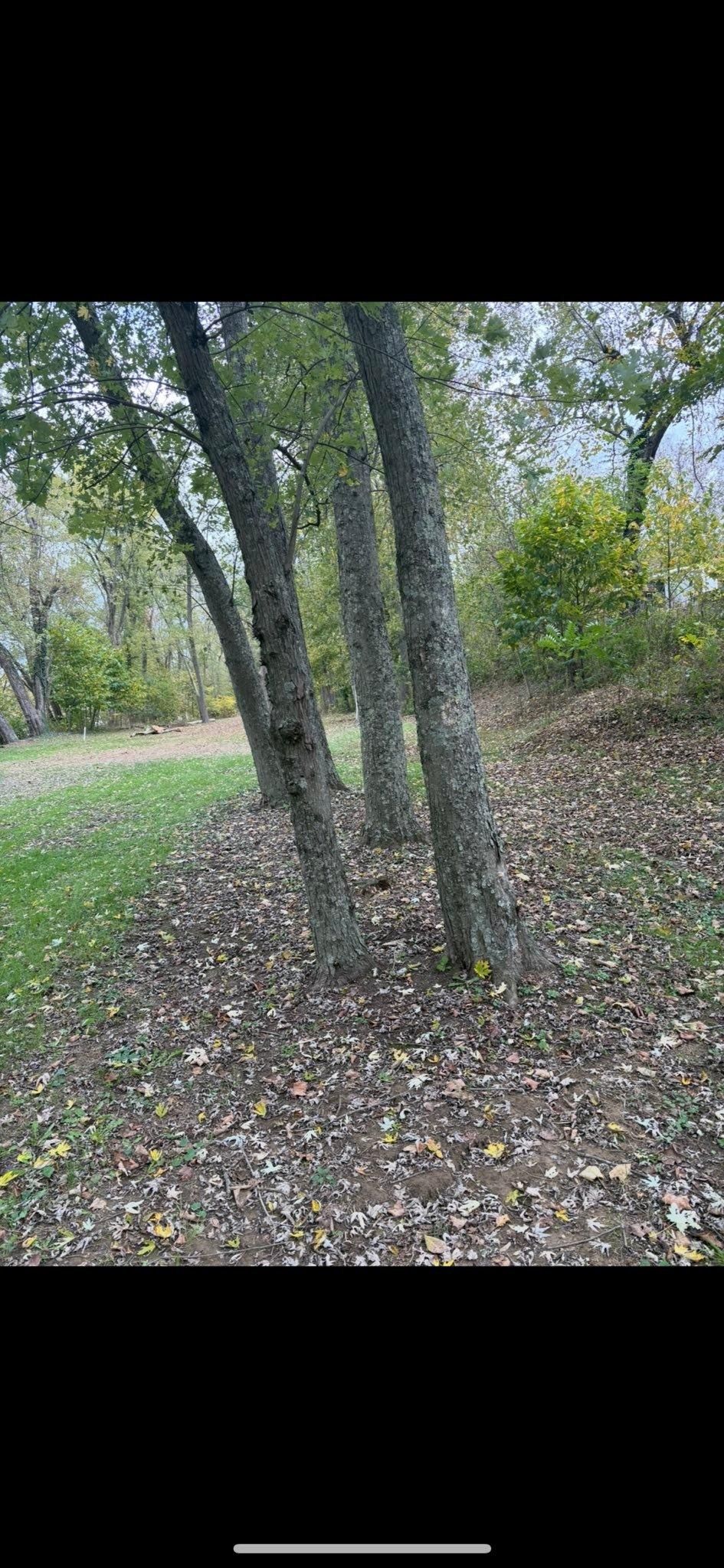  for Kehl Lawn and Landscape in Athens, OH