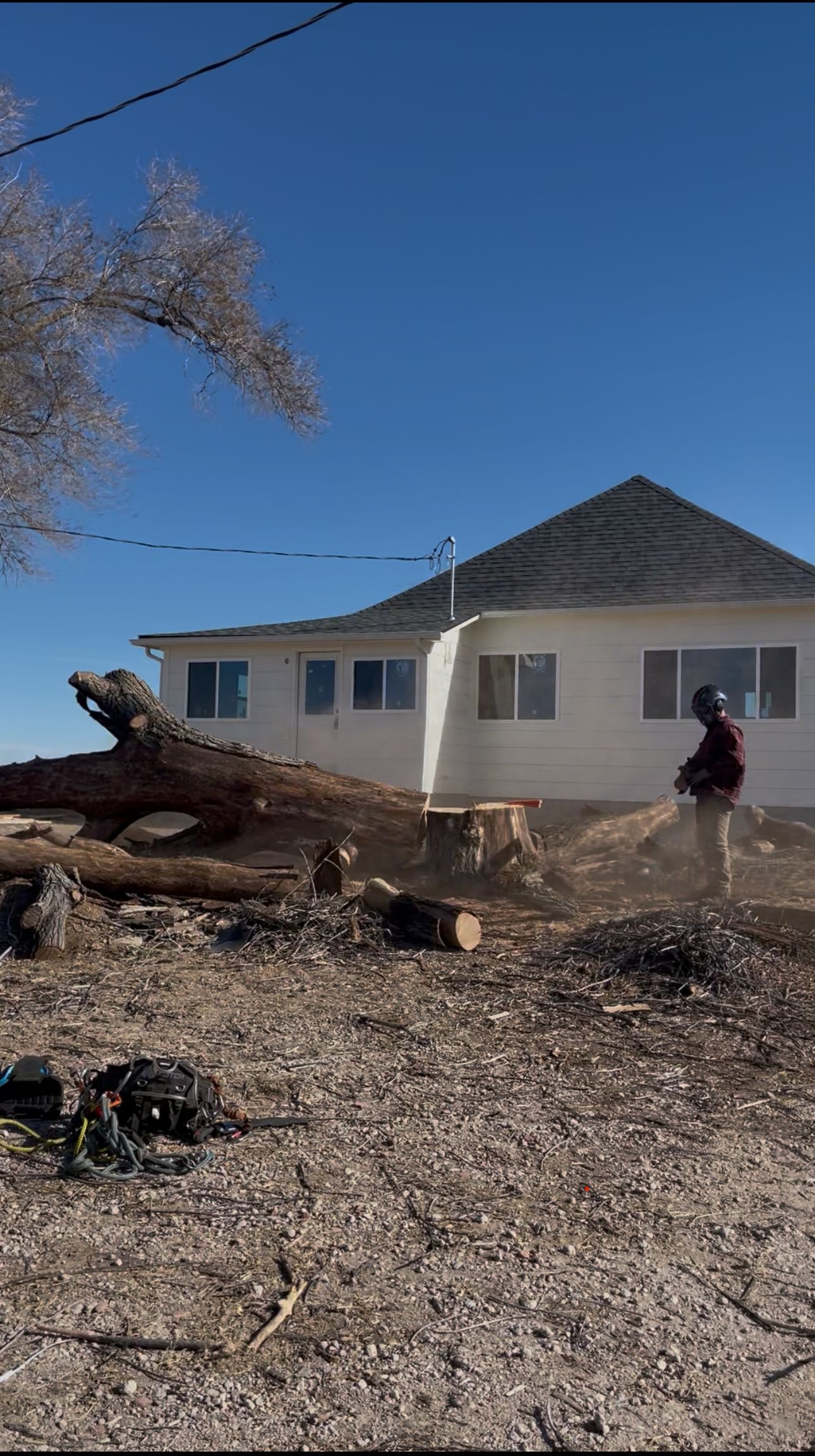 All Photos for Graham’s Tree Services in Pierce, CO