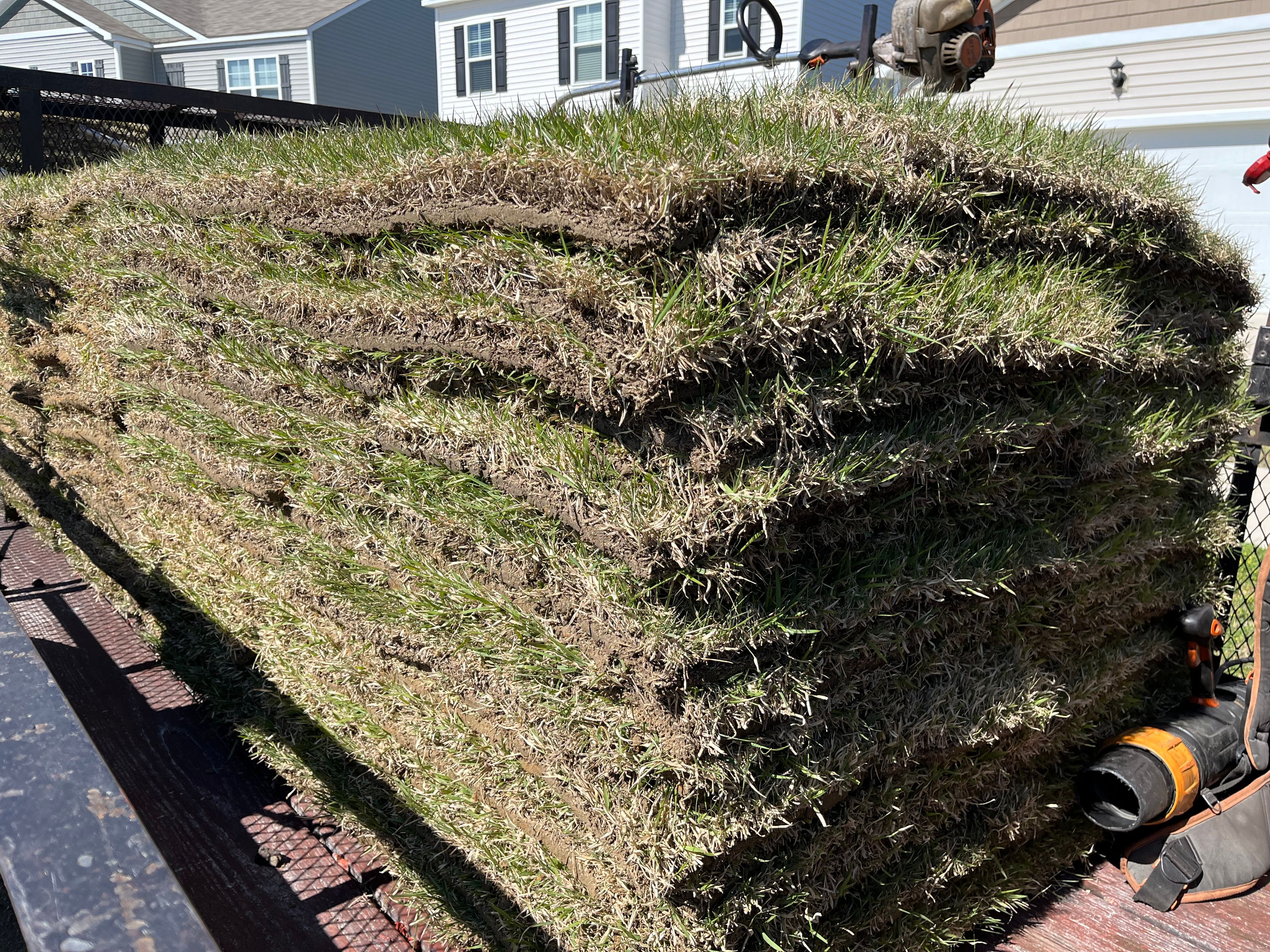  for New Creation Lawn and Landscape in Myrtle Beach, SC