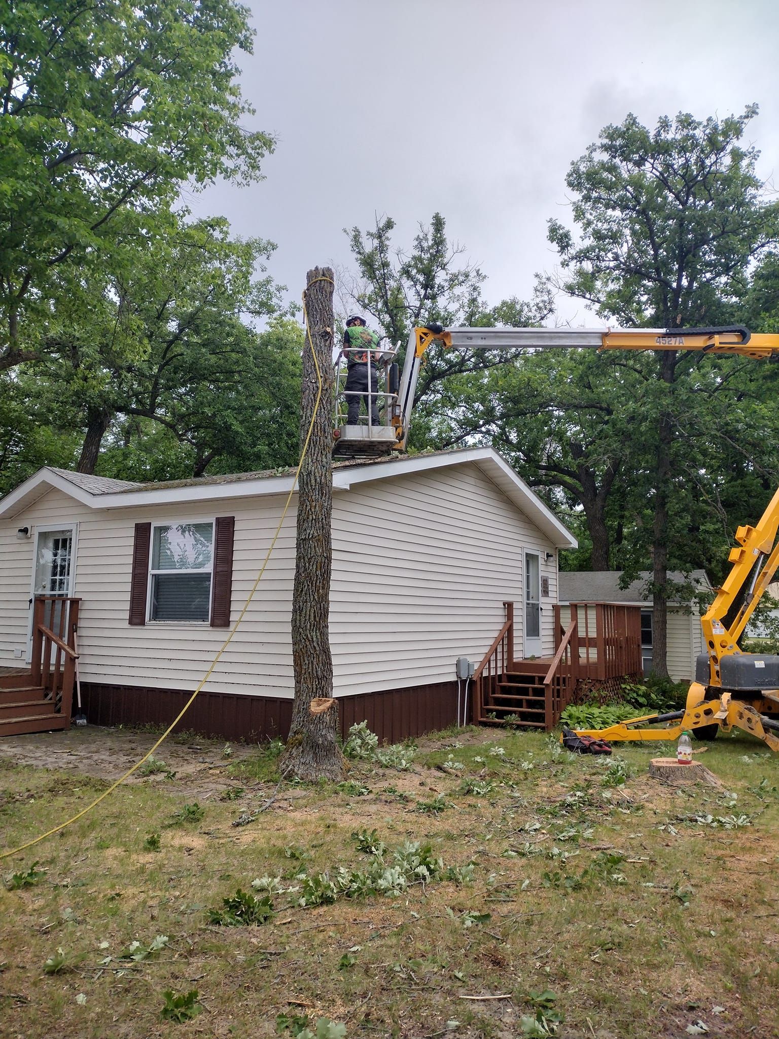  for Dan's Tree Service LLC in Bemidji, MN