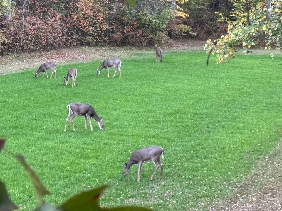  for B & M Land Management in Green Bay, WI