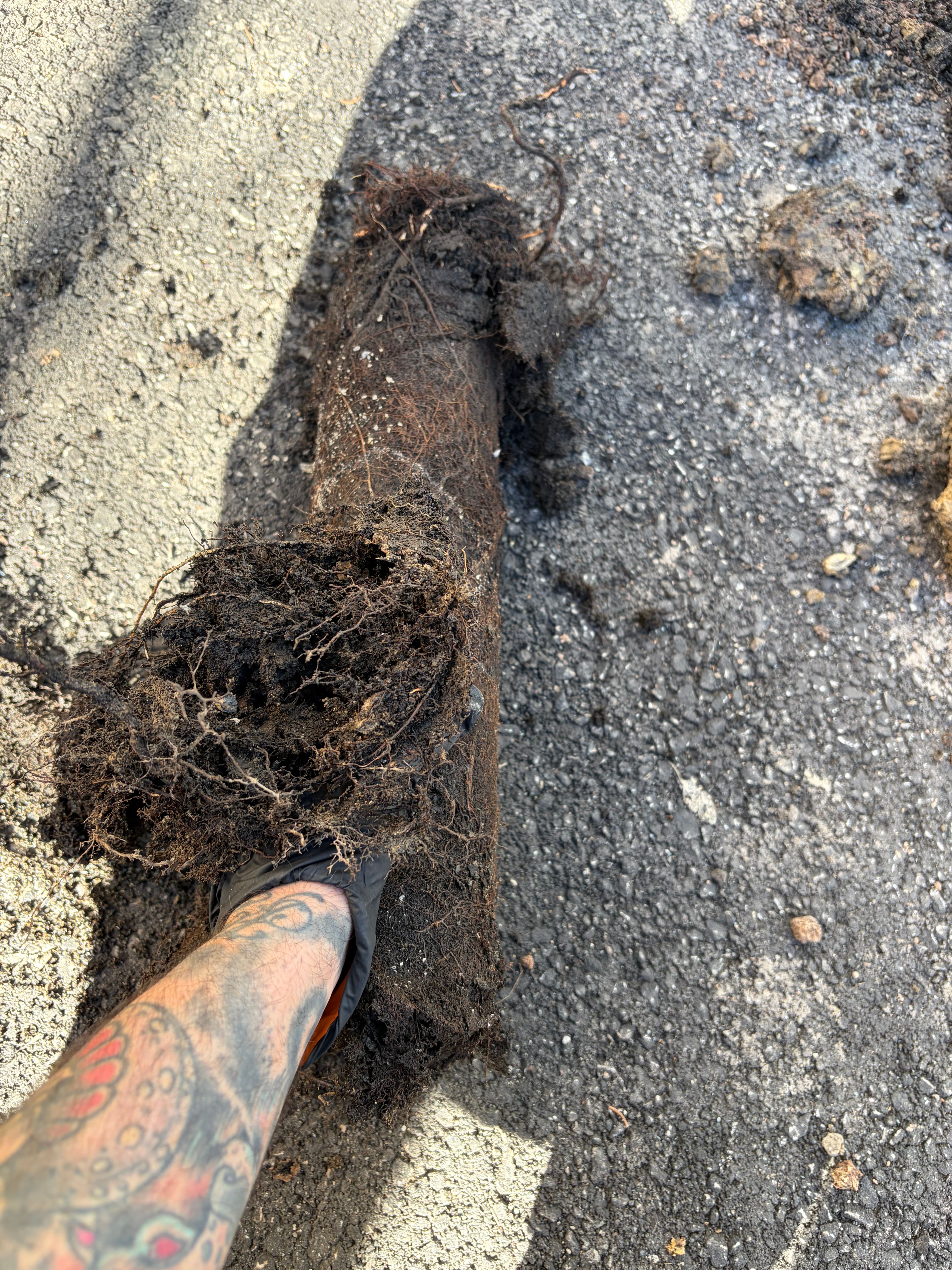  for The Drain Force in Cleveland, OH