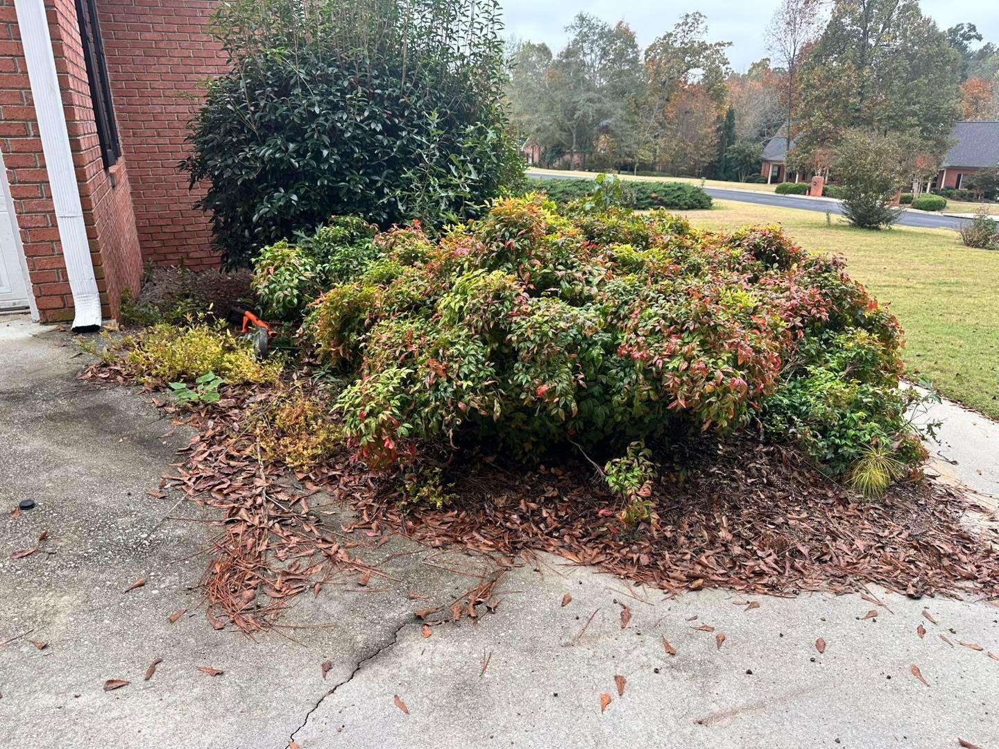  for Worsham Landscaping and Pressure Washing LLC in Social Circle, GA