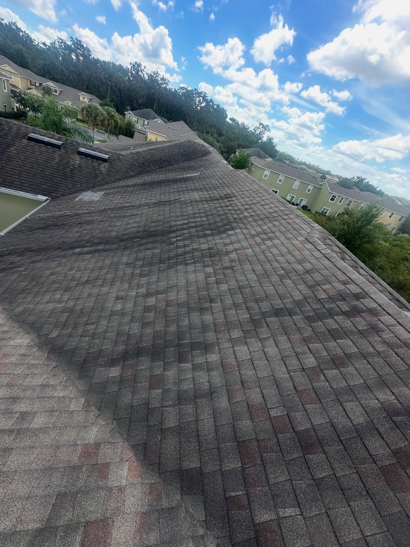  for Storm Strong Roofing in Tampa, FL