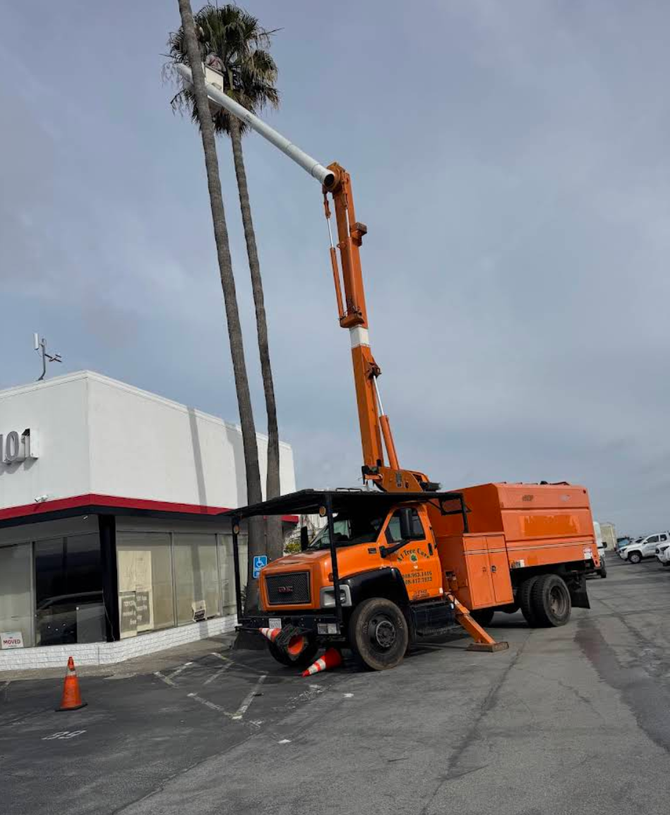  for A1 Tree Care in San Jose, CA