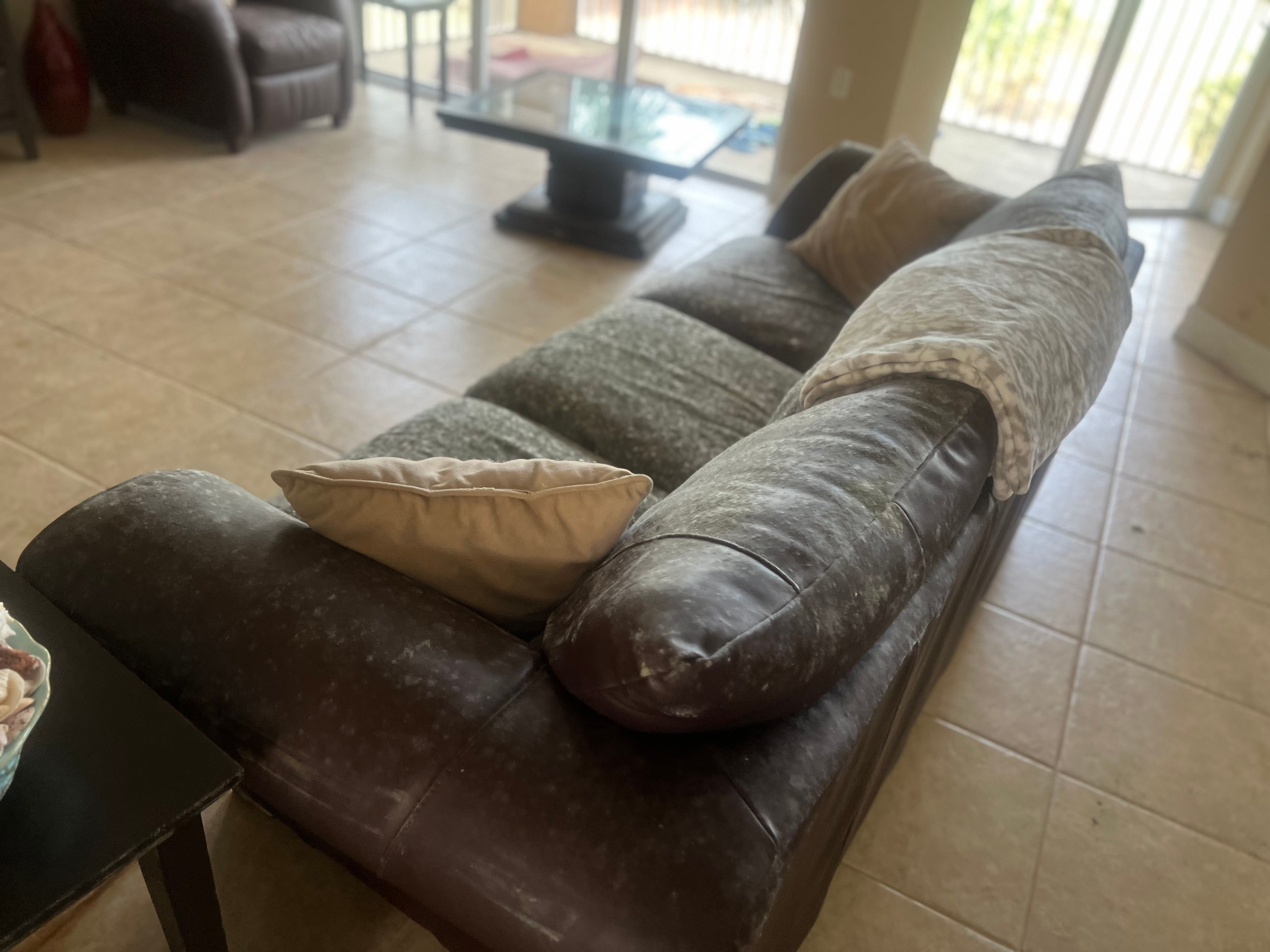  for N&D Restoration Services When Disaster Strikes, We Come In in Cape Coral,  FL