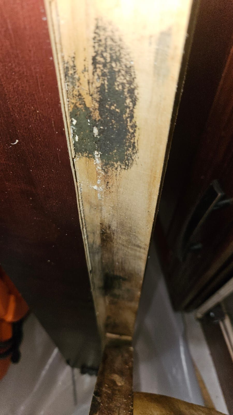  for N&D Restoration Services When Disaster Strikes, We Come In in Cape Coral,  FL