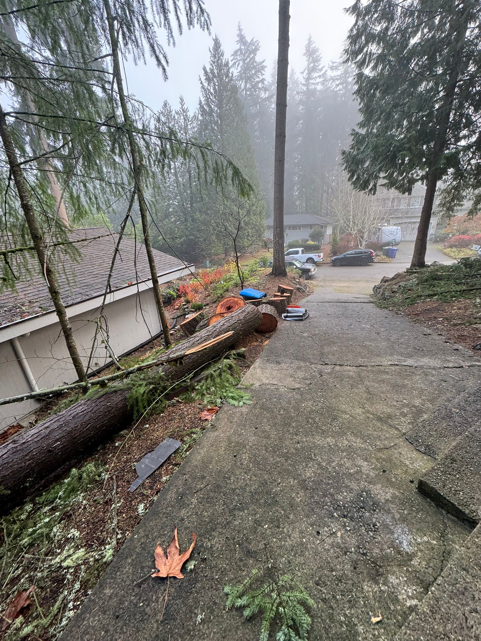  for Tony's Remodeling & Painting in Renton, WA