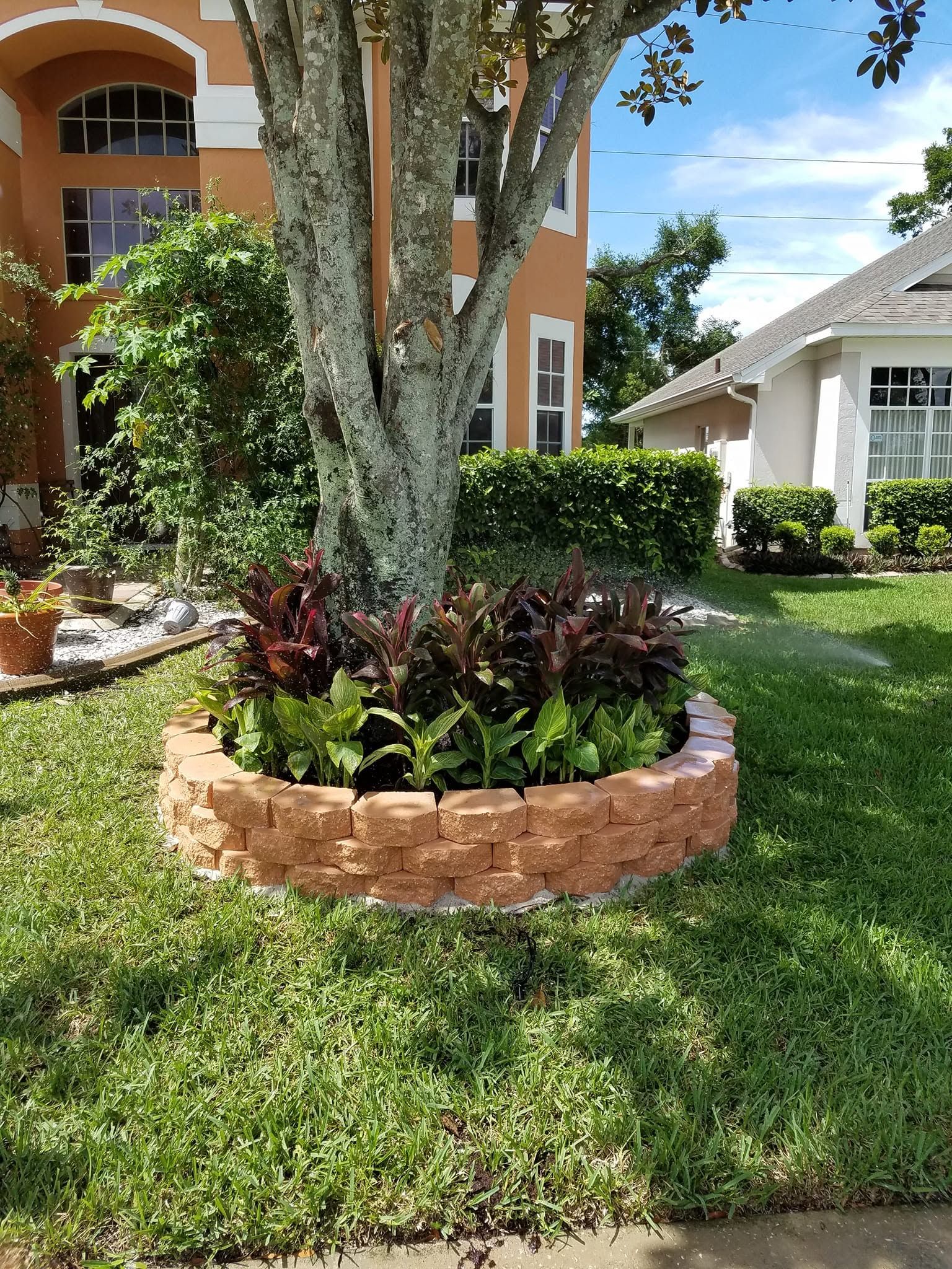  for Nate the Garden Guru in Orlando, FL
