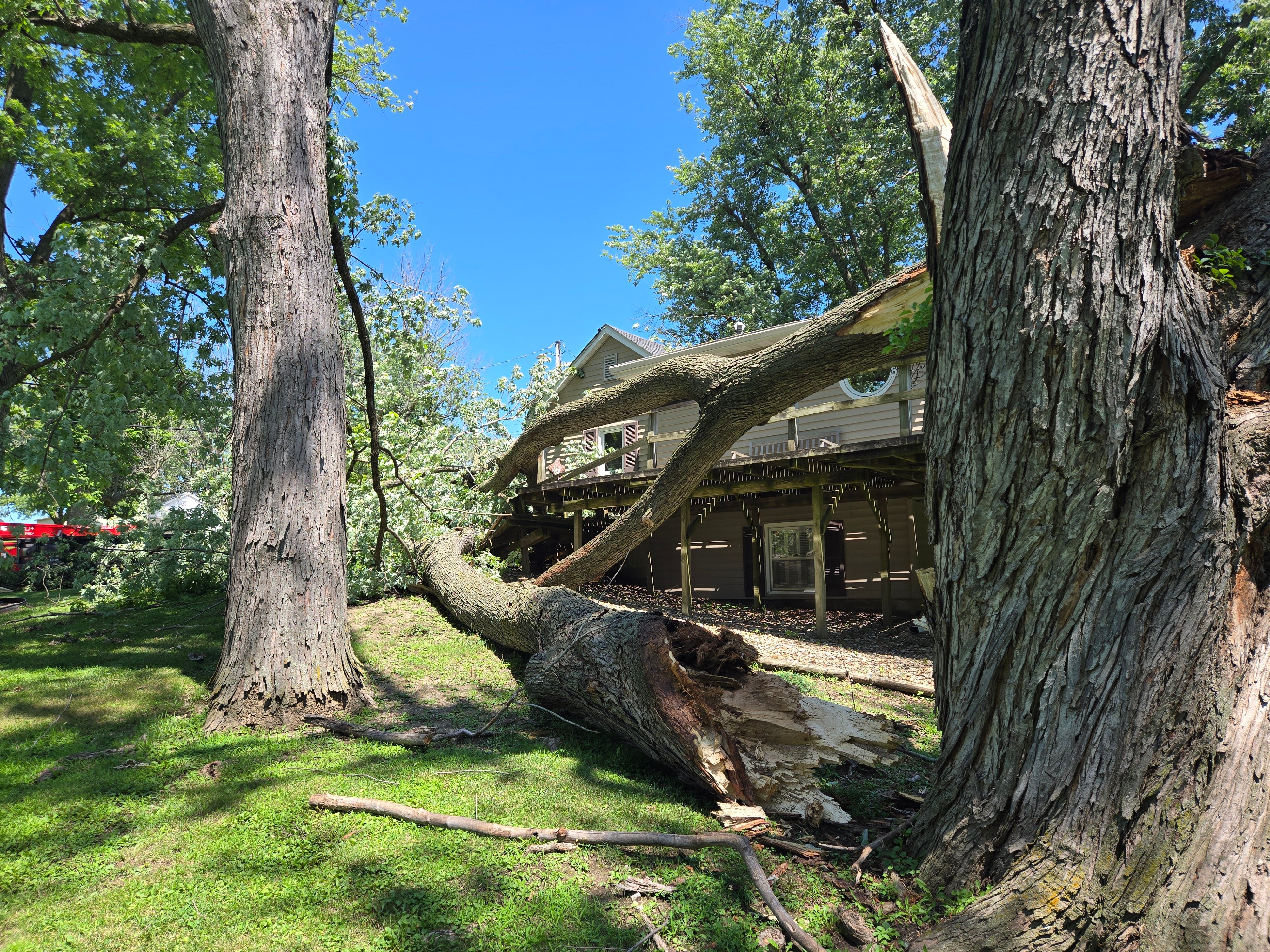  for Lawn Ranger Yard And Tree Service LLC in Ottumwa, IA