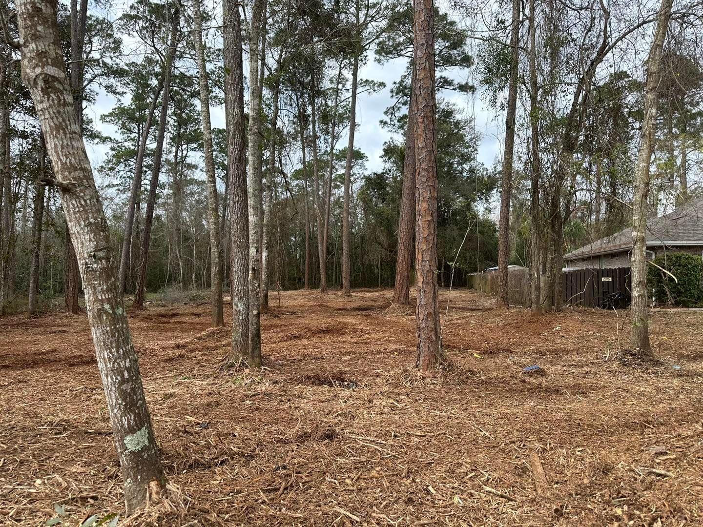 All Photos for White’s Land Maintenance in Milton,, FL