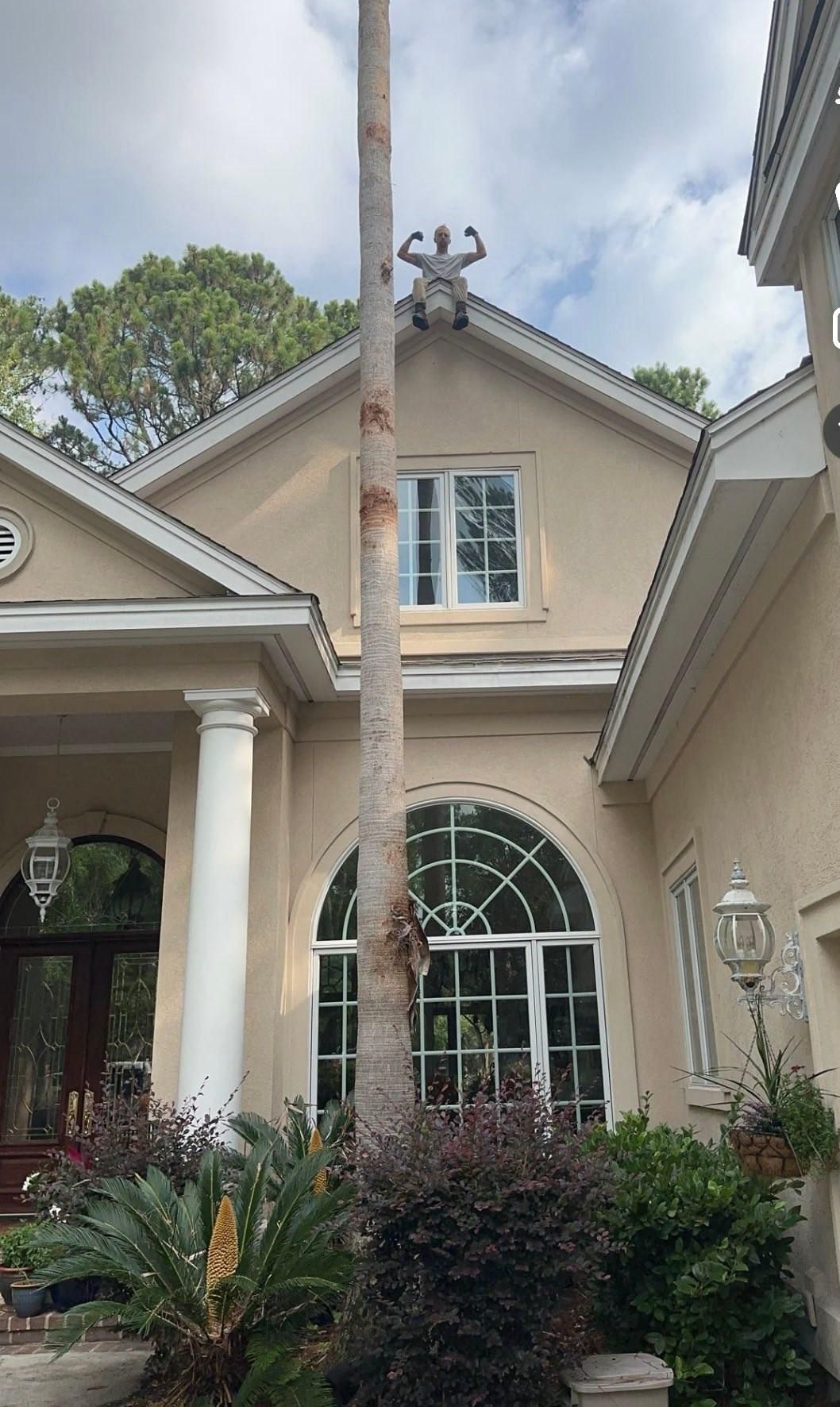  for Premier Softwash in Bluffton, SC