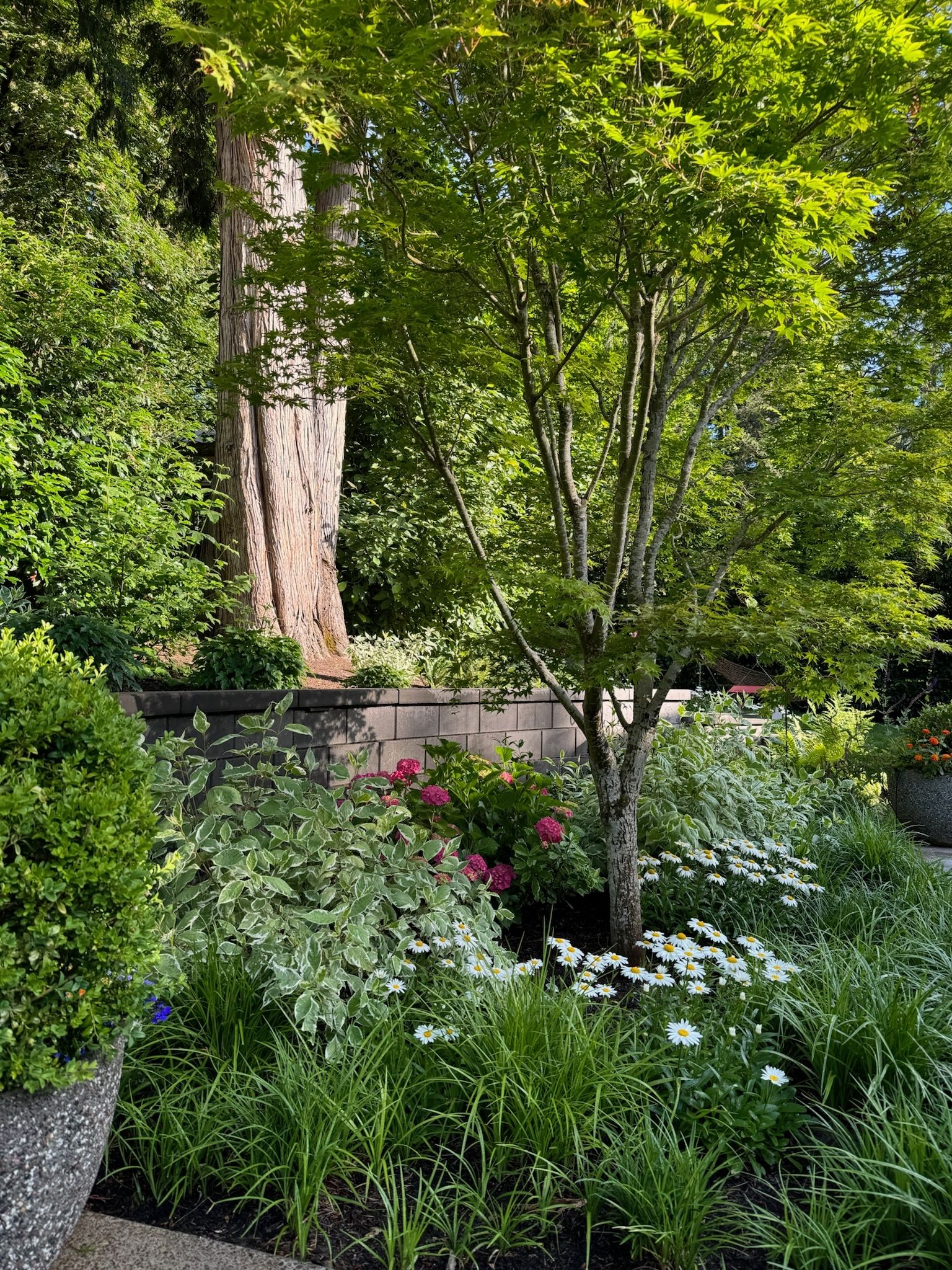  for Courtney Lewis Landscape Design in Portland, OR