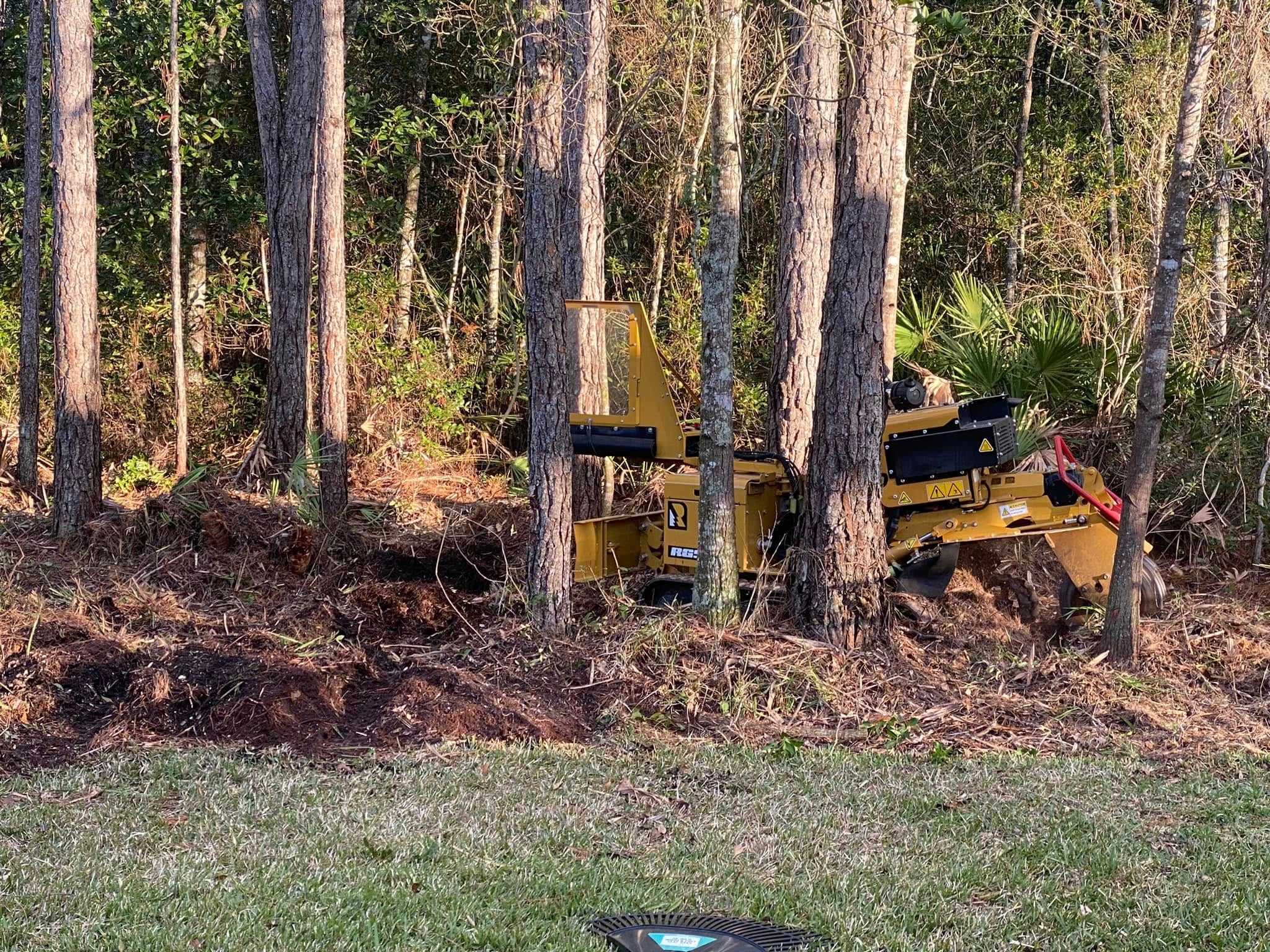  for Fast Cut Tree Service in Jacksonville Heights, FL
