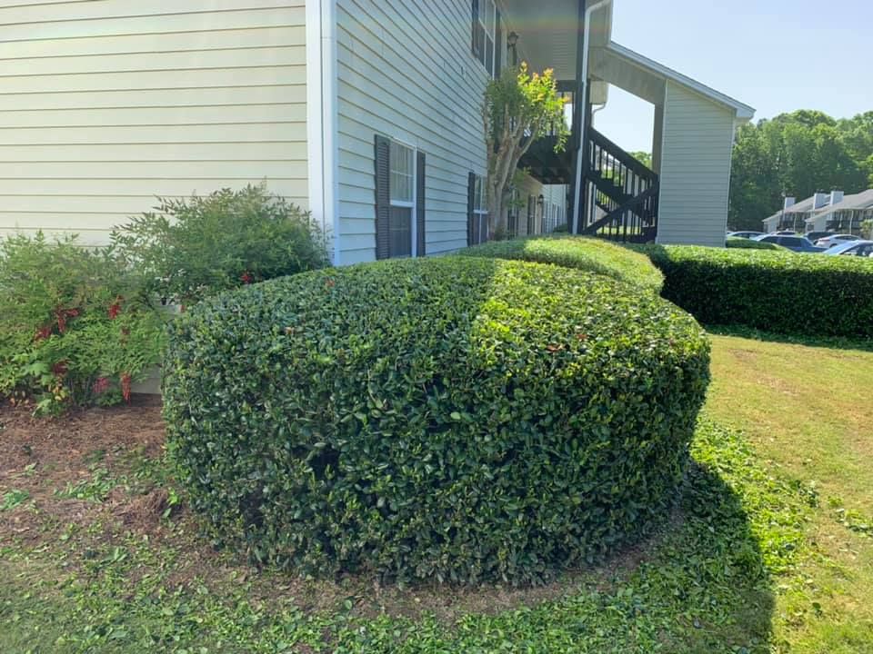 All Photos for Bega Landscape Services in Atlanta, Georgia