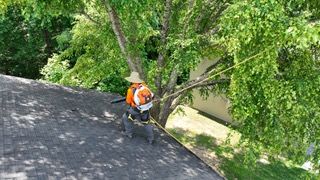  for Cisco Kid Tree Service LLC in Charlotte, North Carolina