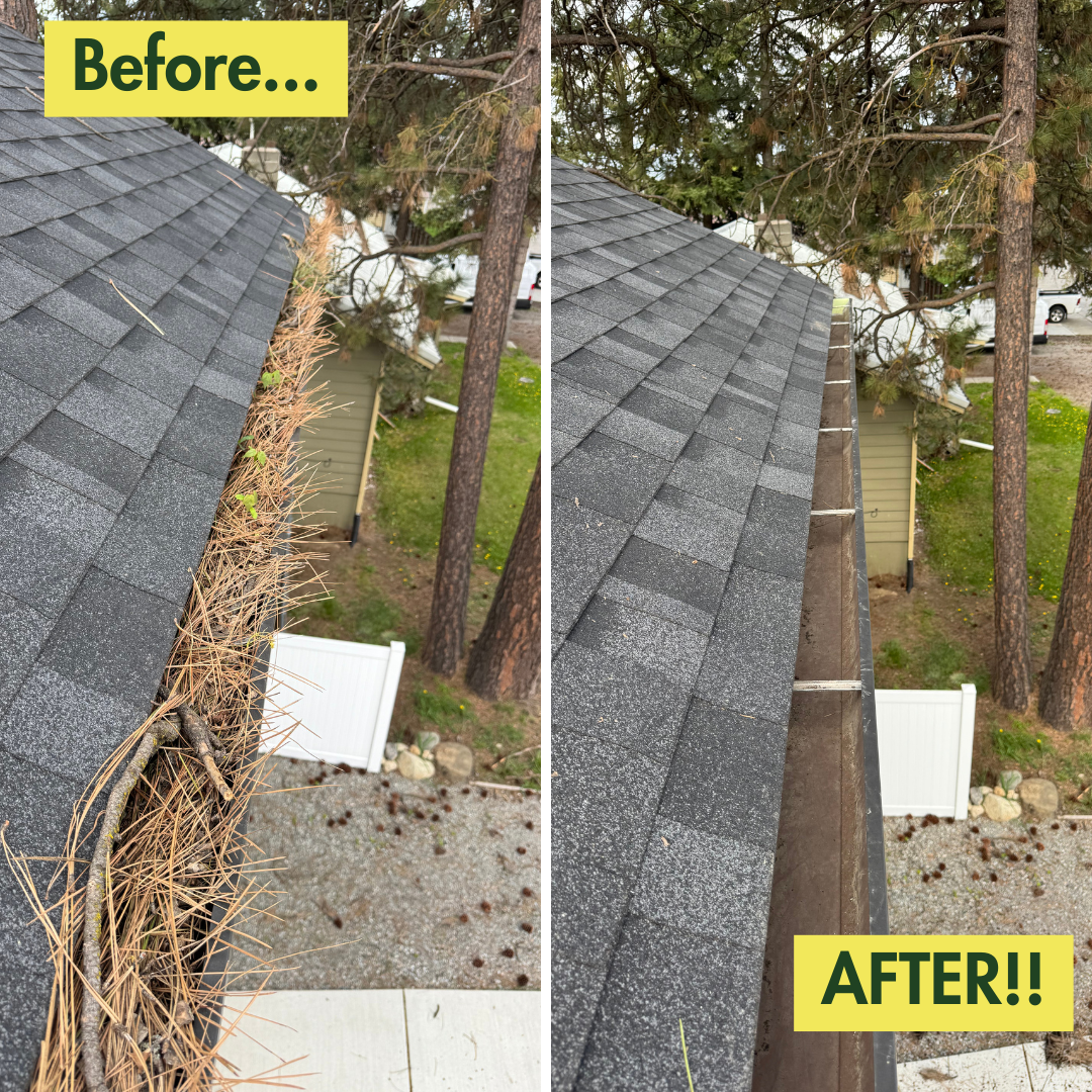 All Photos for Swift Serve in Coeur d'Alene, ID