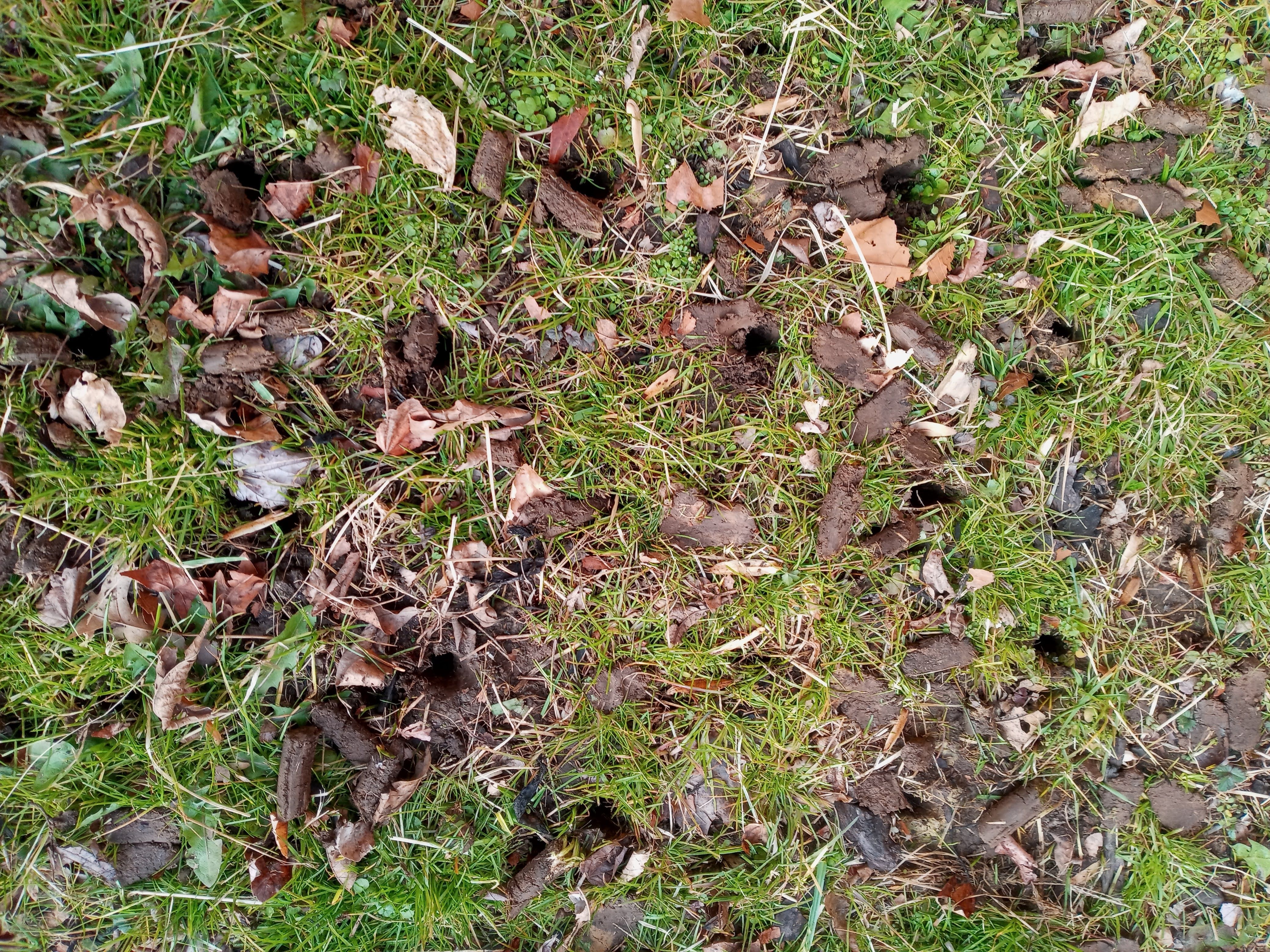  for Sam I AM Property Solutions in Sunderland, MD