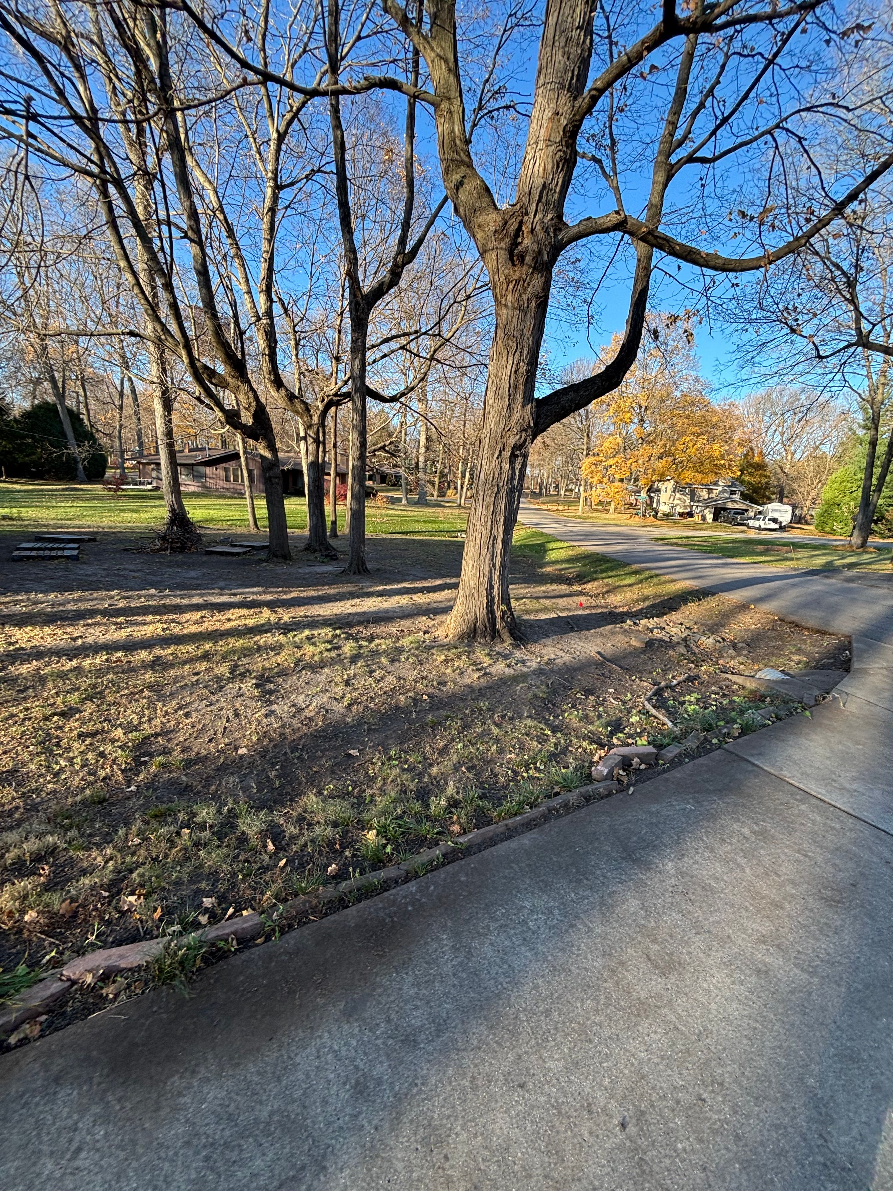  for Cena Landscaping in Rockford, IL