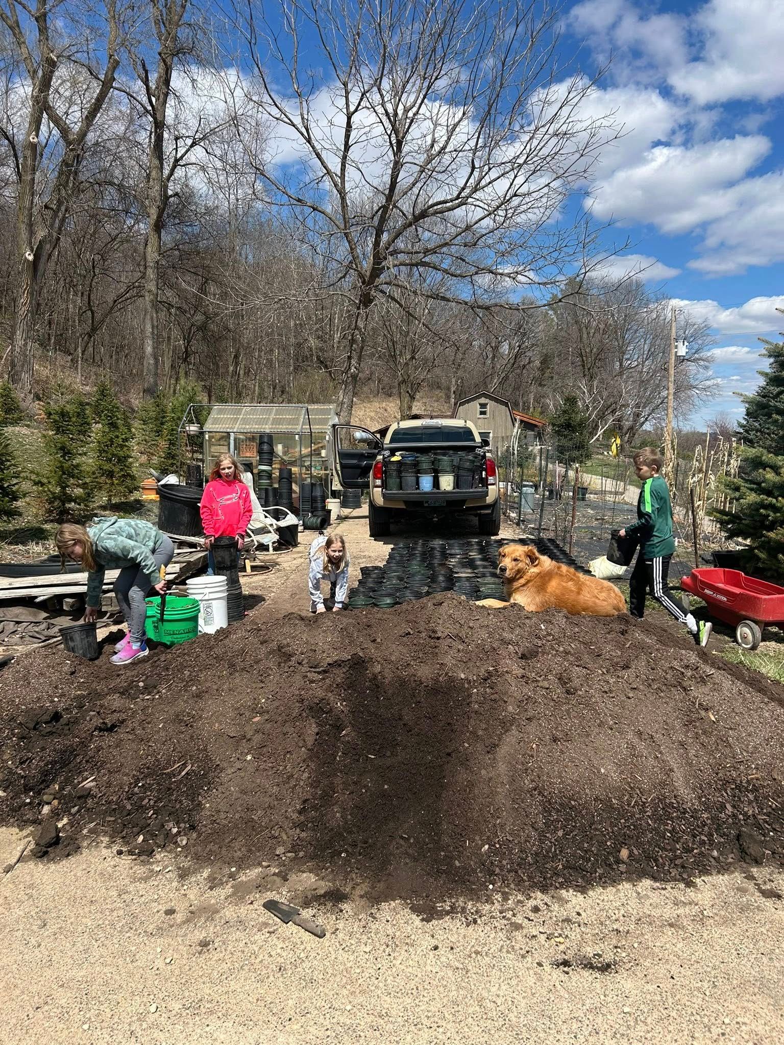  for Spring Creek Evergreens in Red Wing, MN