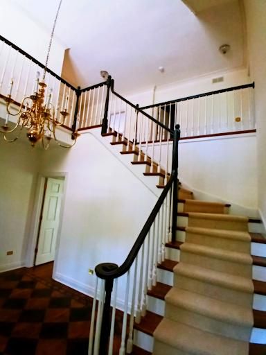  for Eagle Five Stars Painting in Brazos Valley, TX