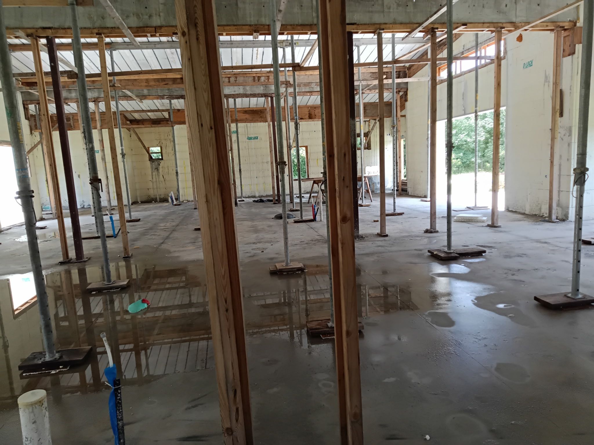  for Escorpio Painting in Tampa, FL