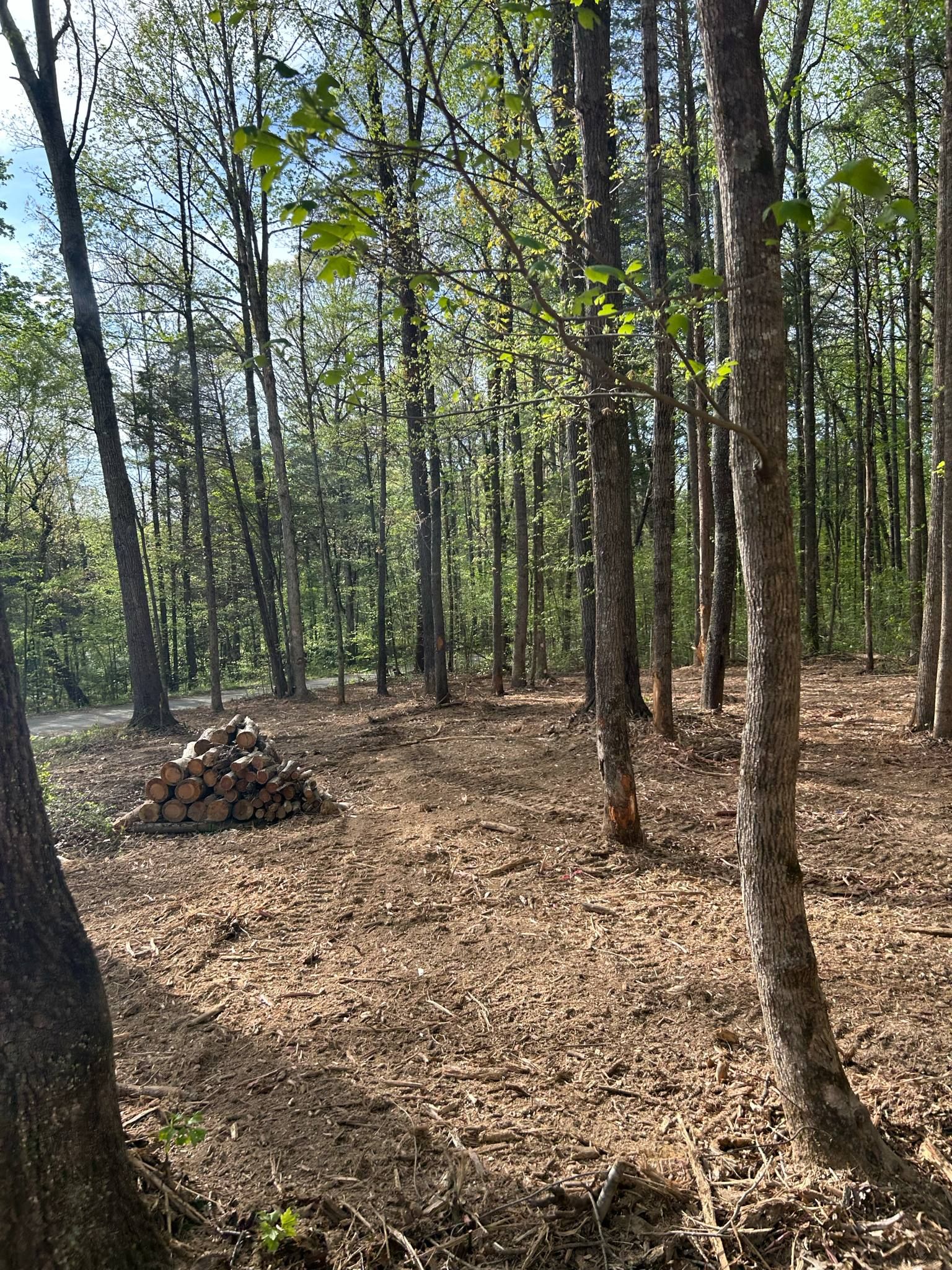  for Z's Land Management & Forestry Mulching in Smithville, TN