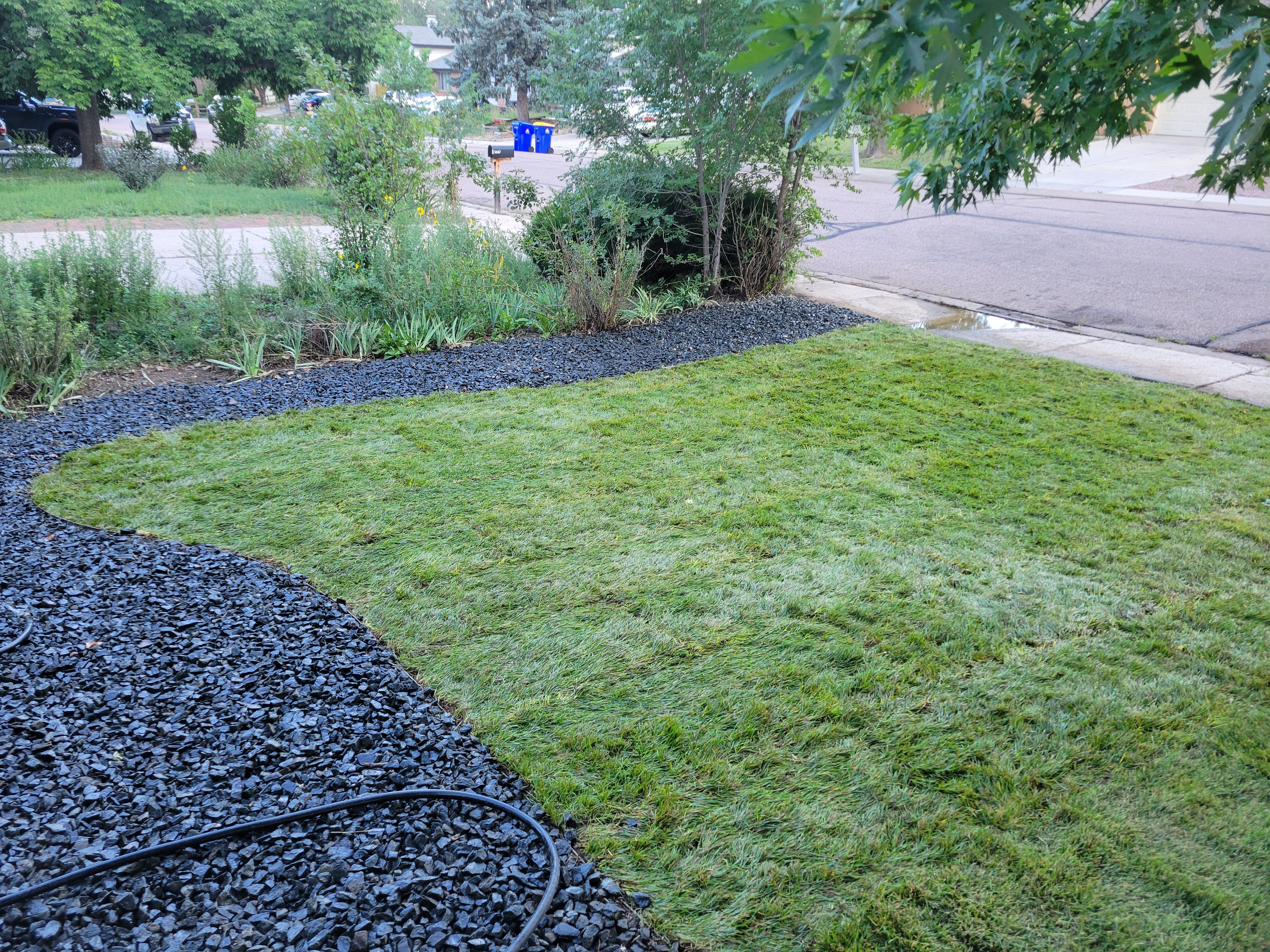  for JS Landscaping Colorado in Denver, CO